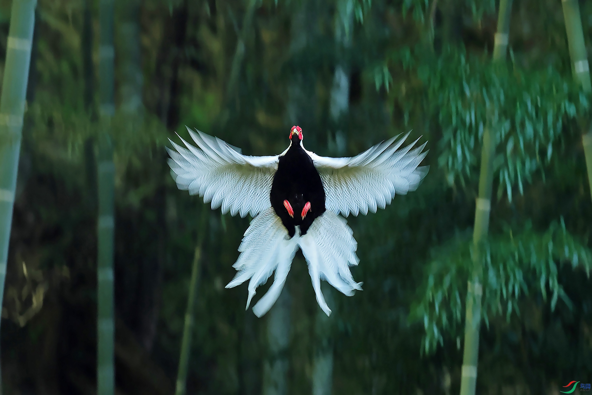 ��������0X5A9861.jpg