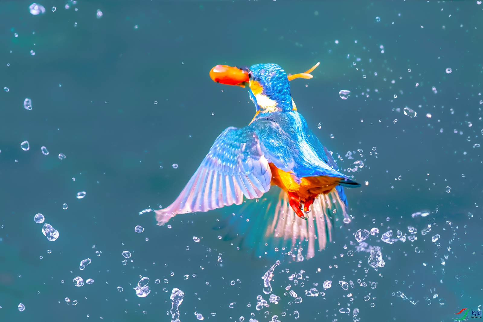 ����----�Ի����ѳ���