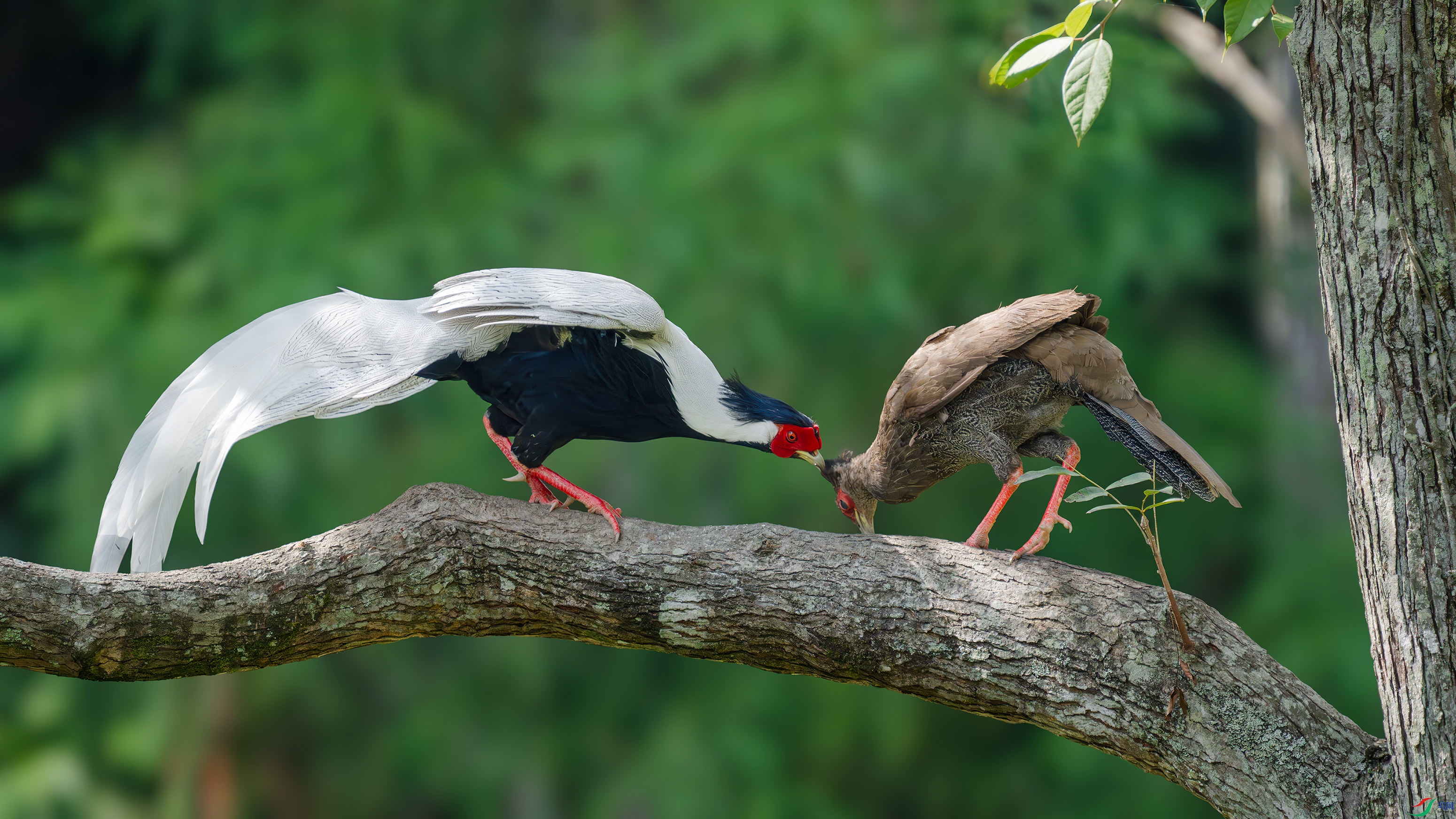 _DSC8814 ���� 2.jpg