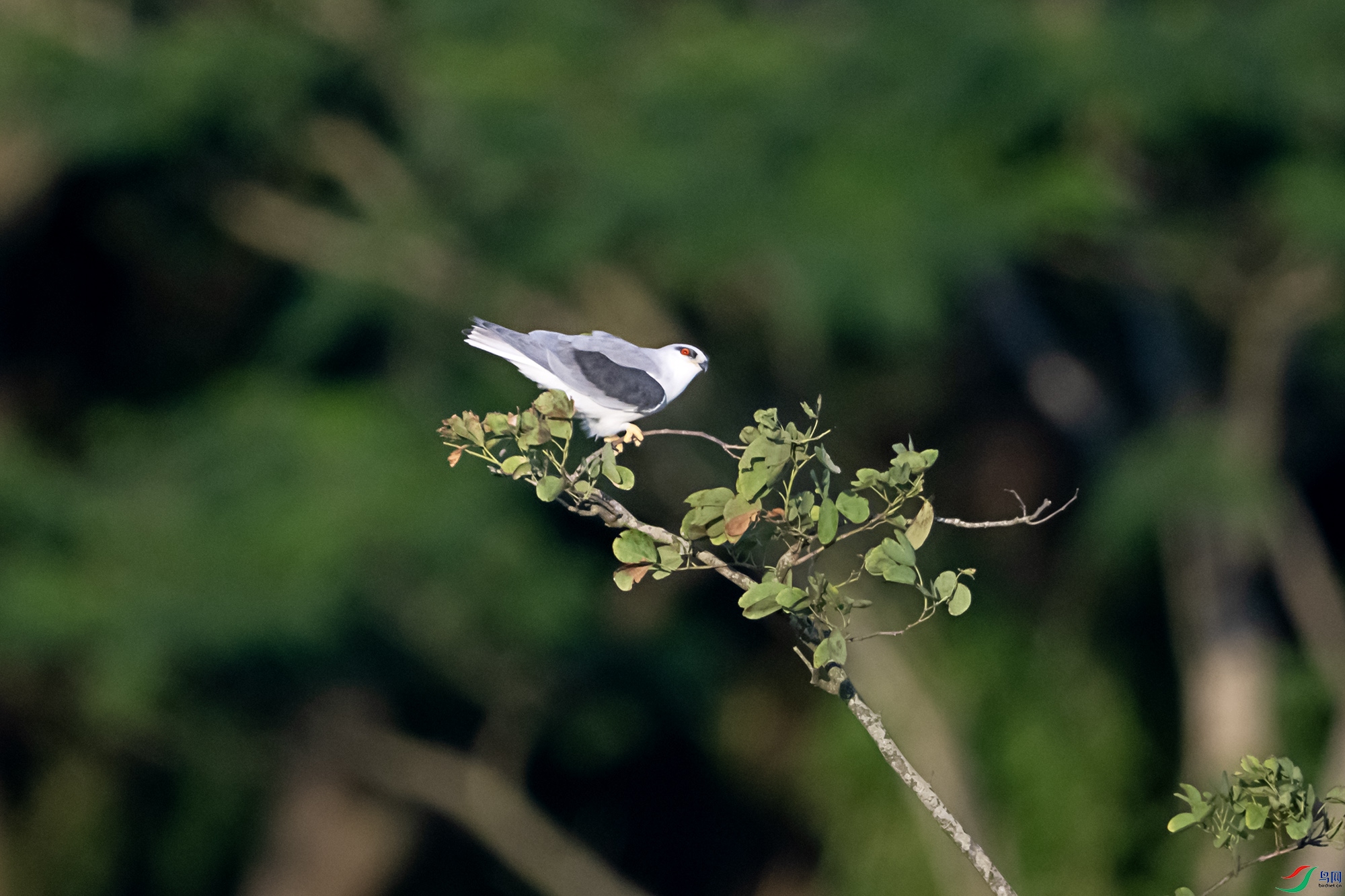 DSC_6408.jpg