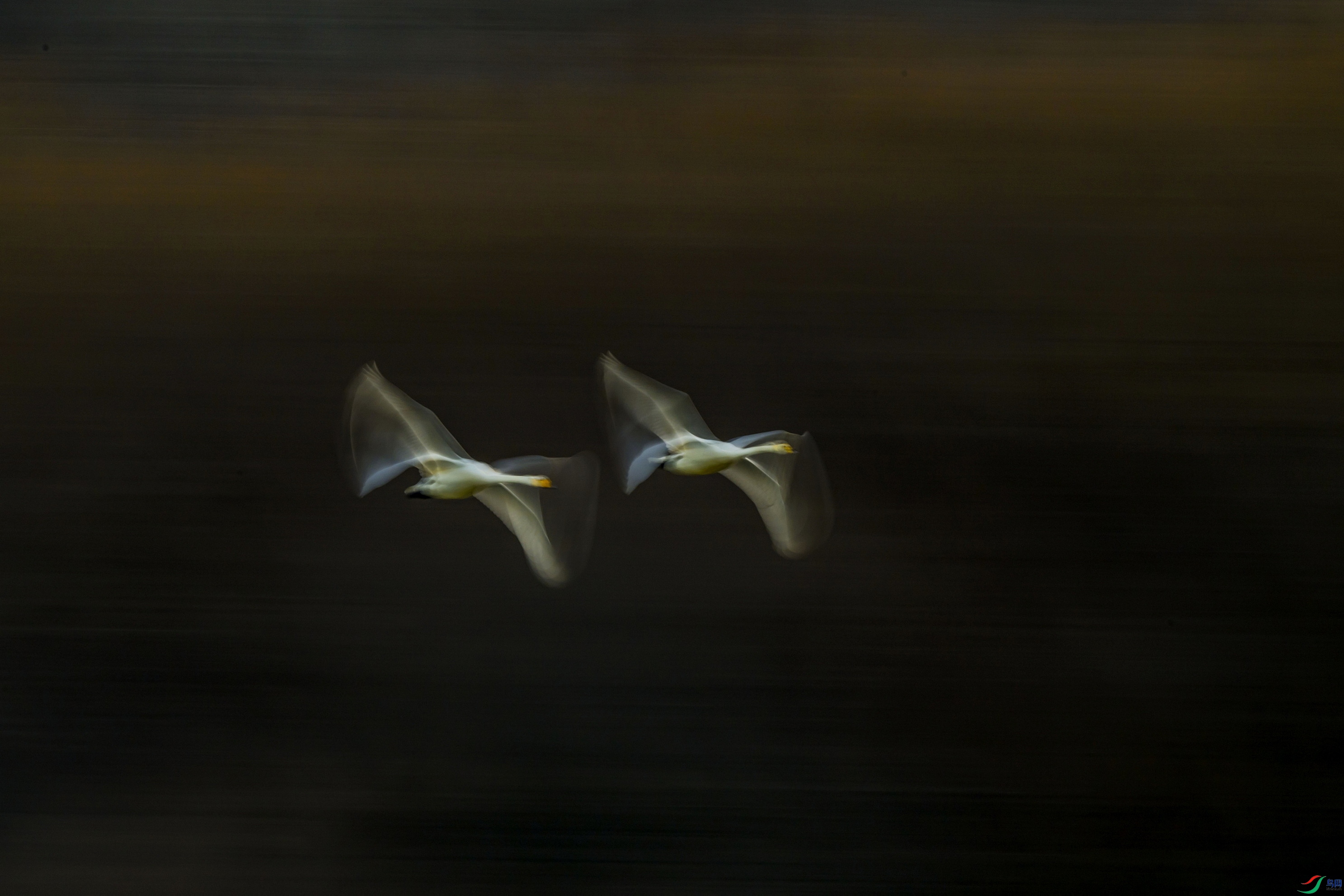 _DSC9929 ����F002.jpg