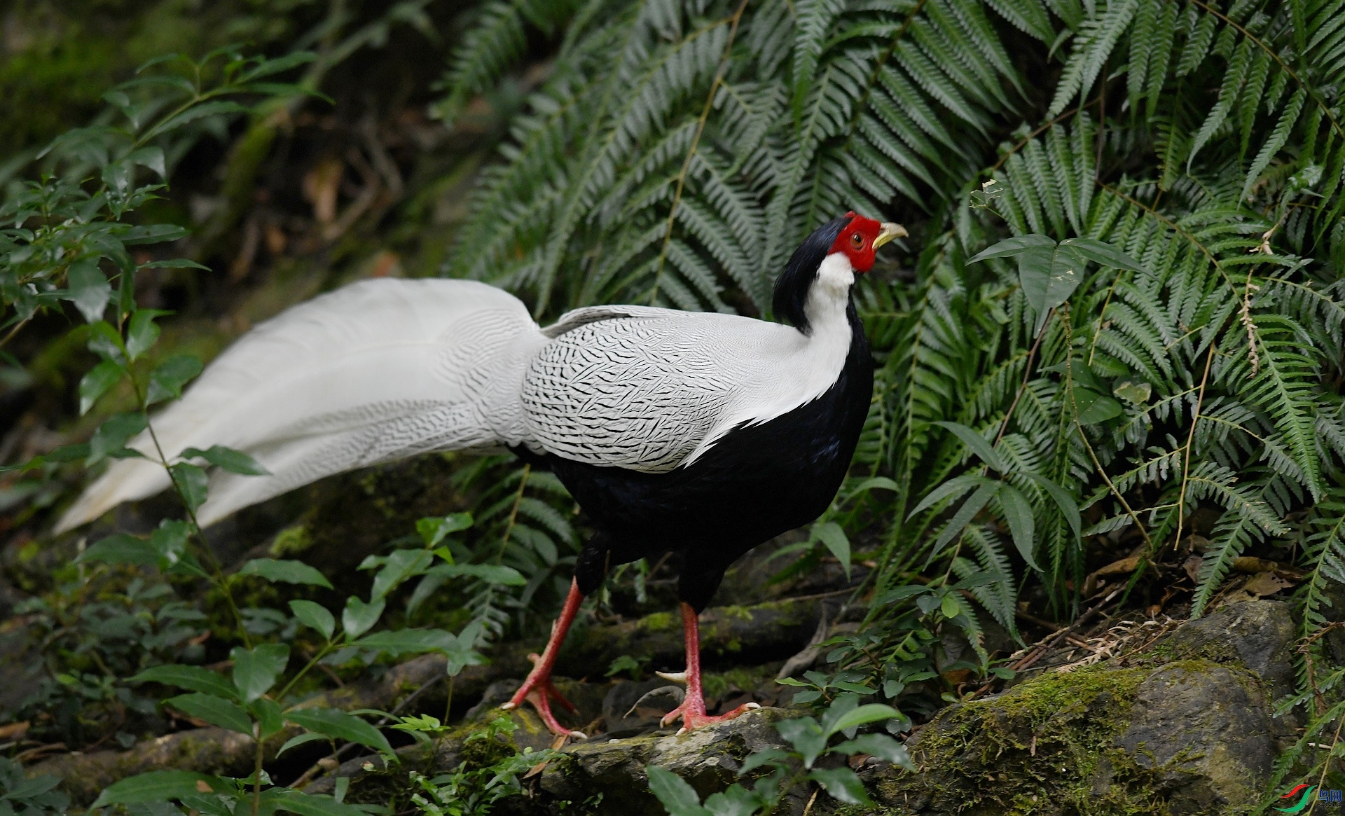 DSC_2763.jpg