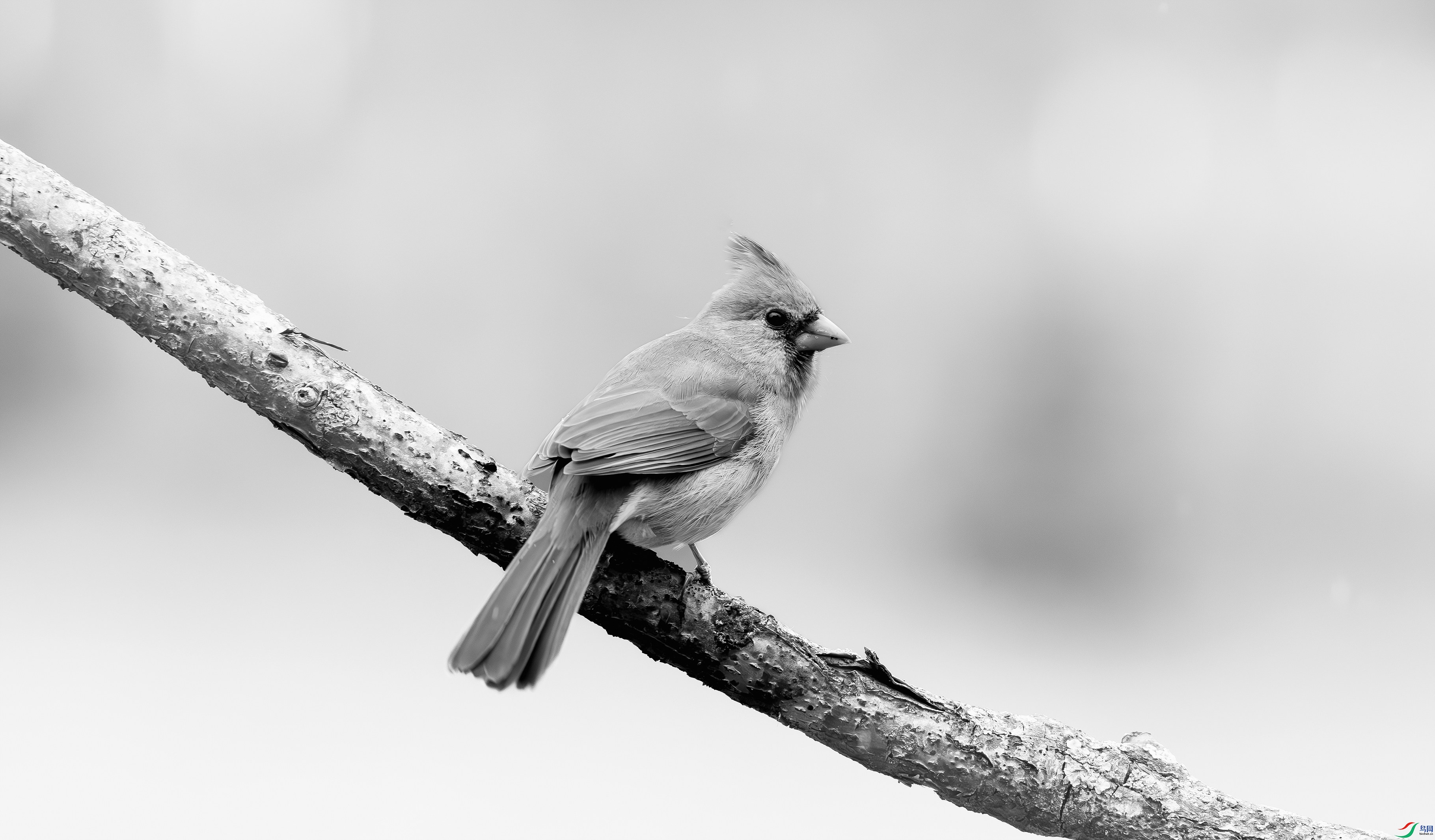 412A3477-1-2_����=00.jpg
