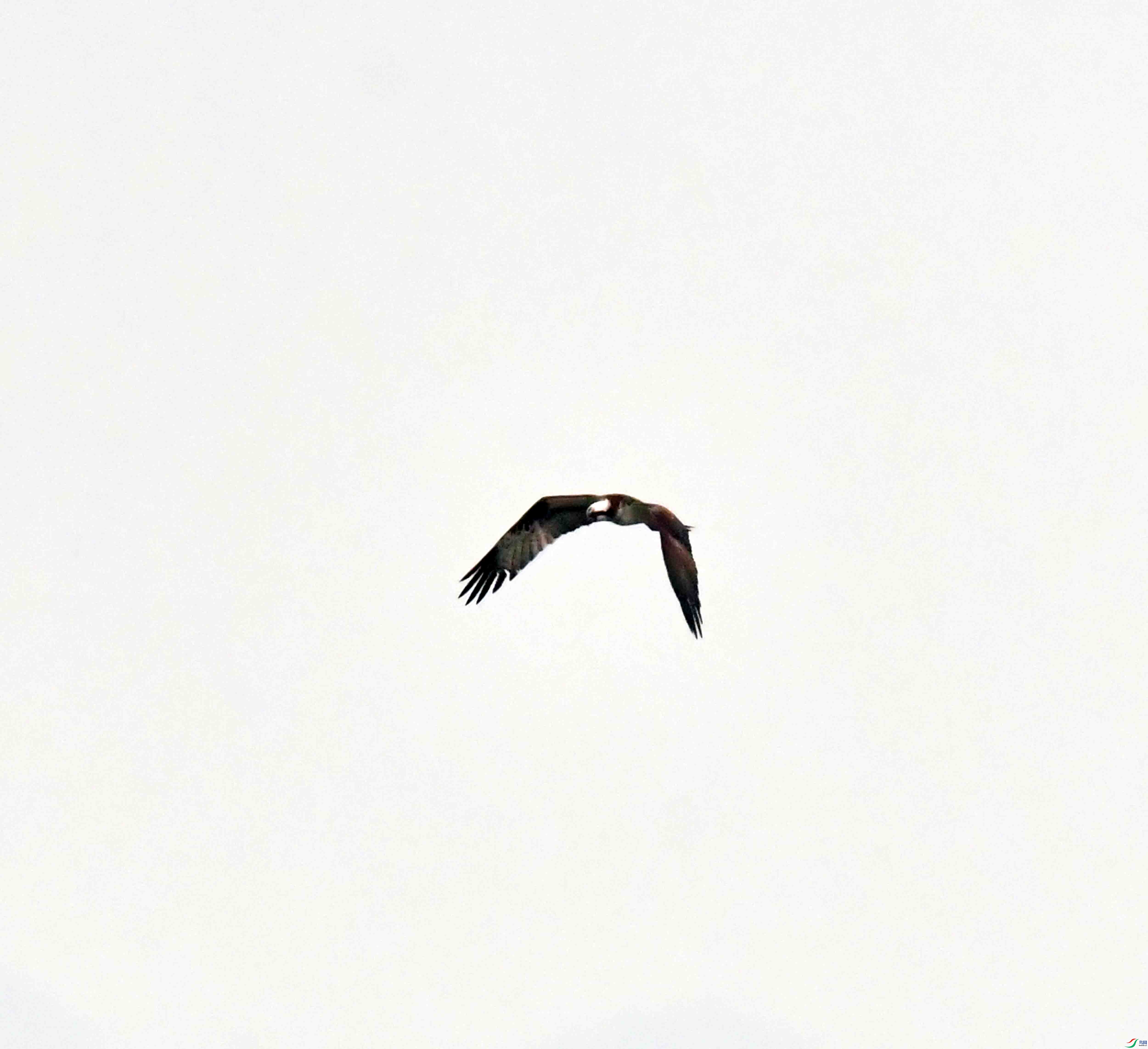 DSC_8709.JPG
