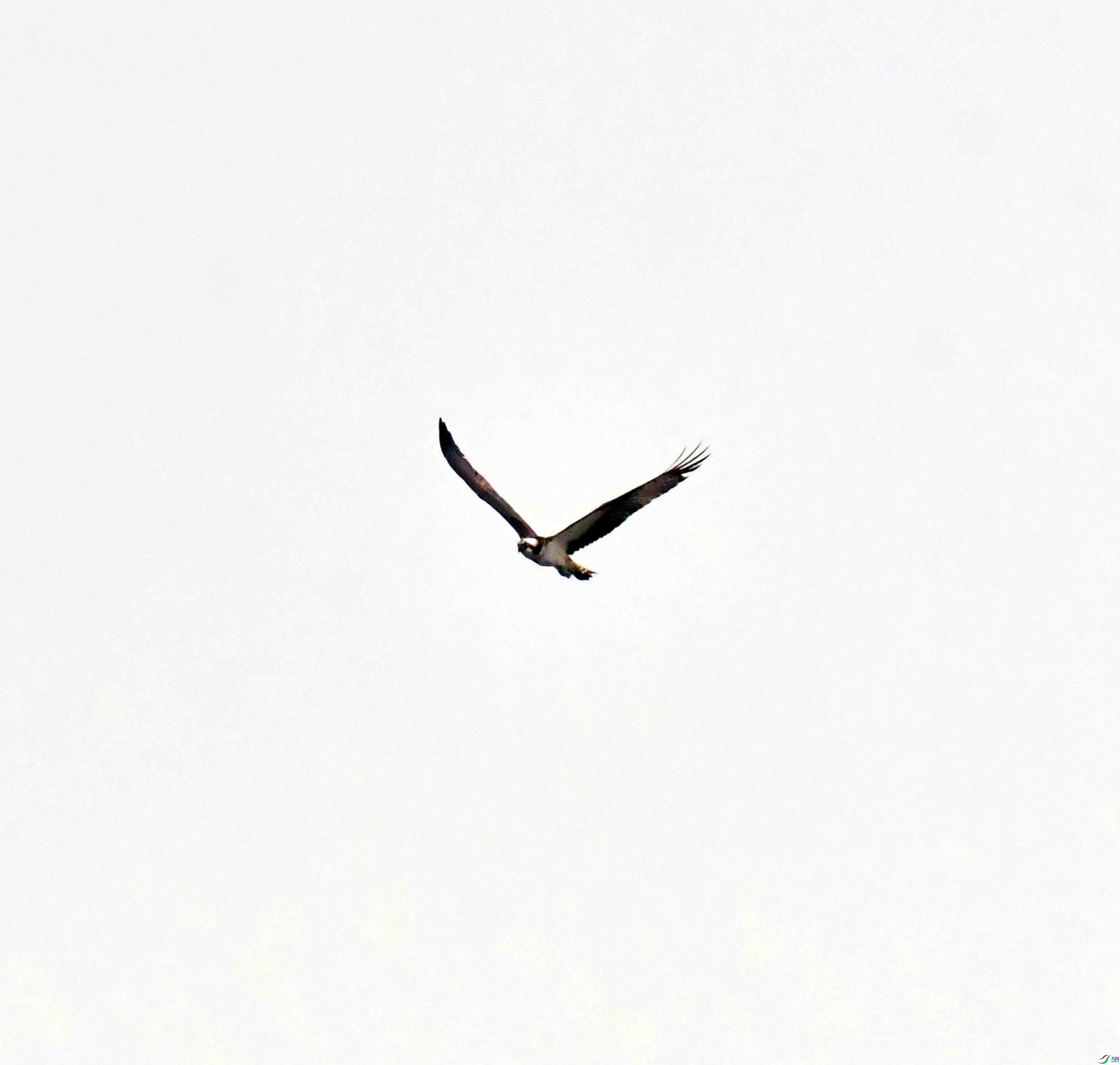 DSC_8717.JPG