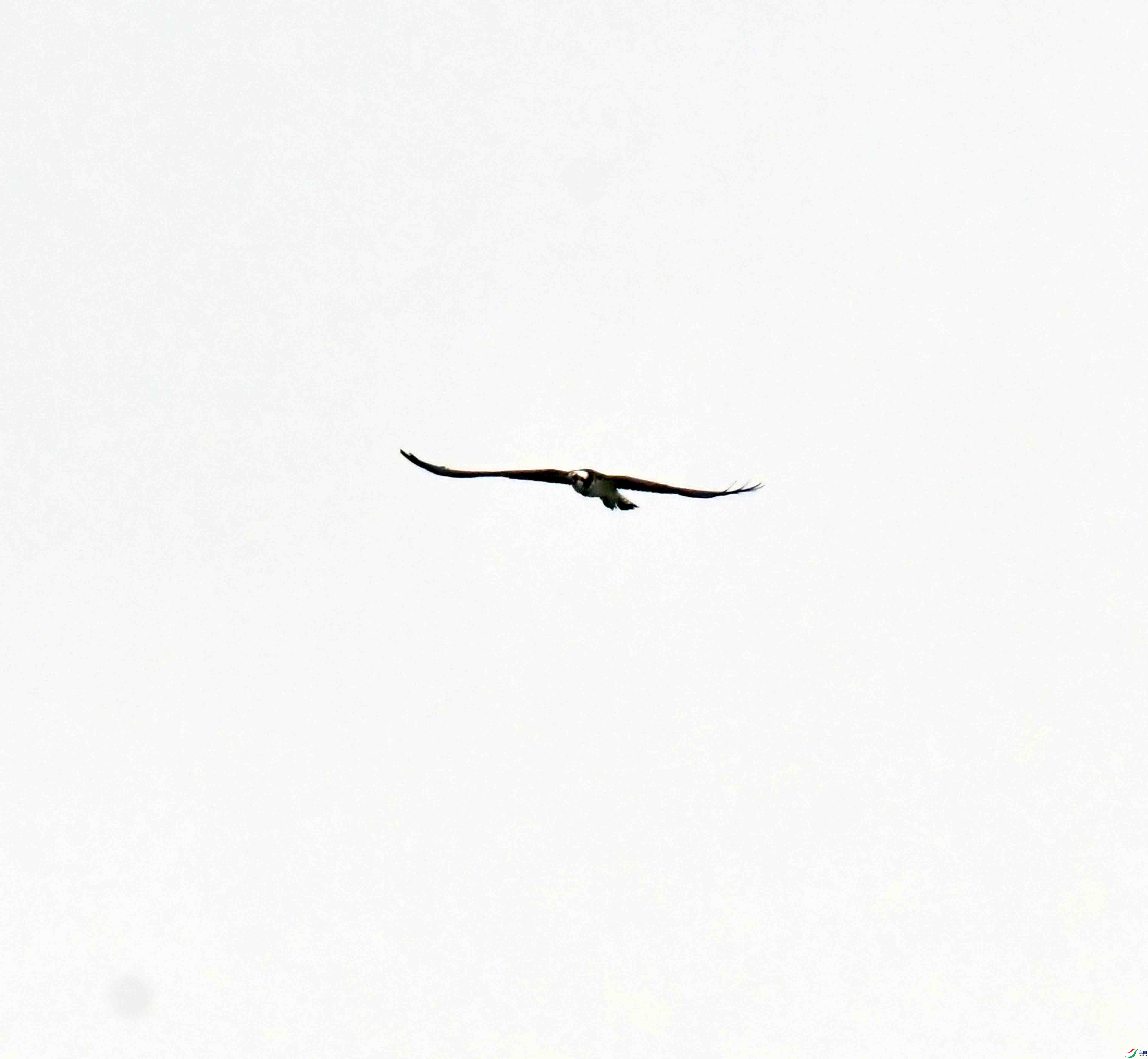 DSC_8718.JPG