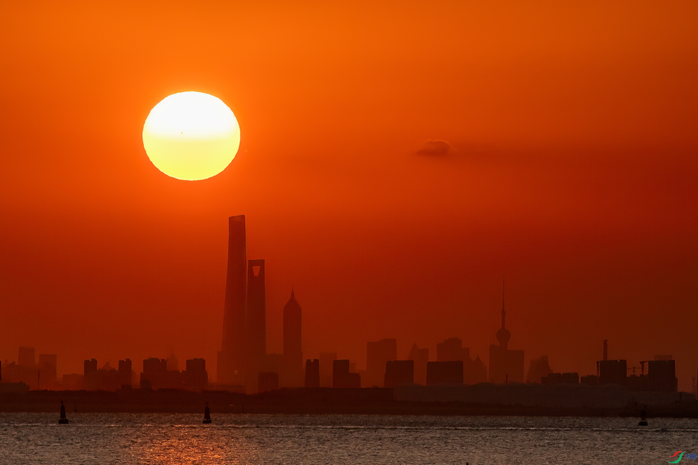 DSC_4516-2.jpg
