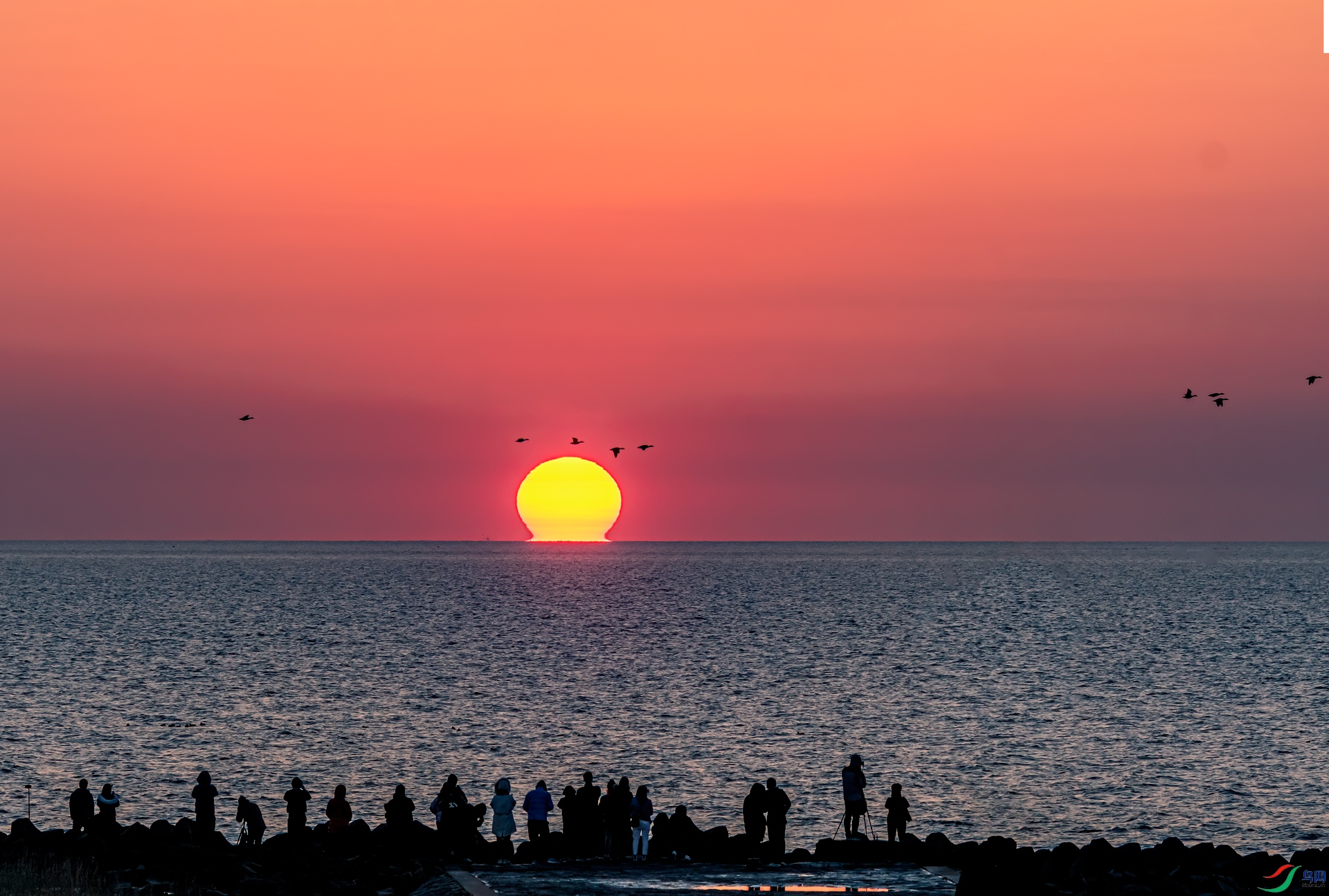DSC_2162-1.jpg