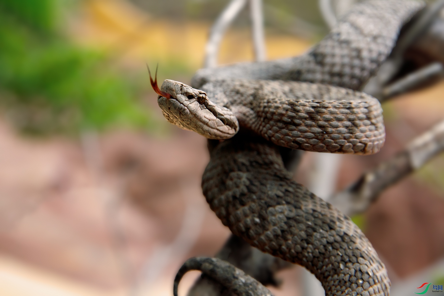 106A0439 ����.jpg