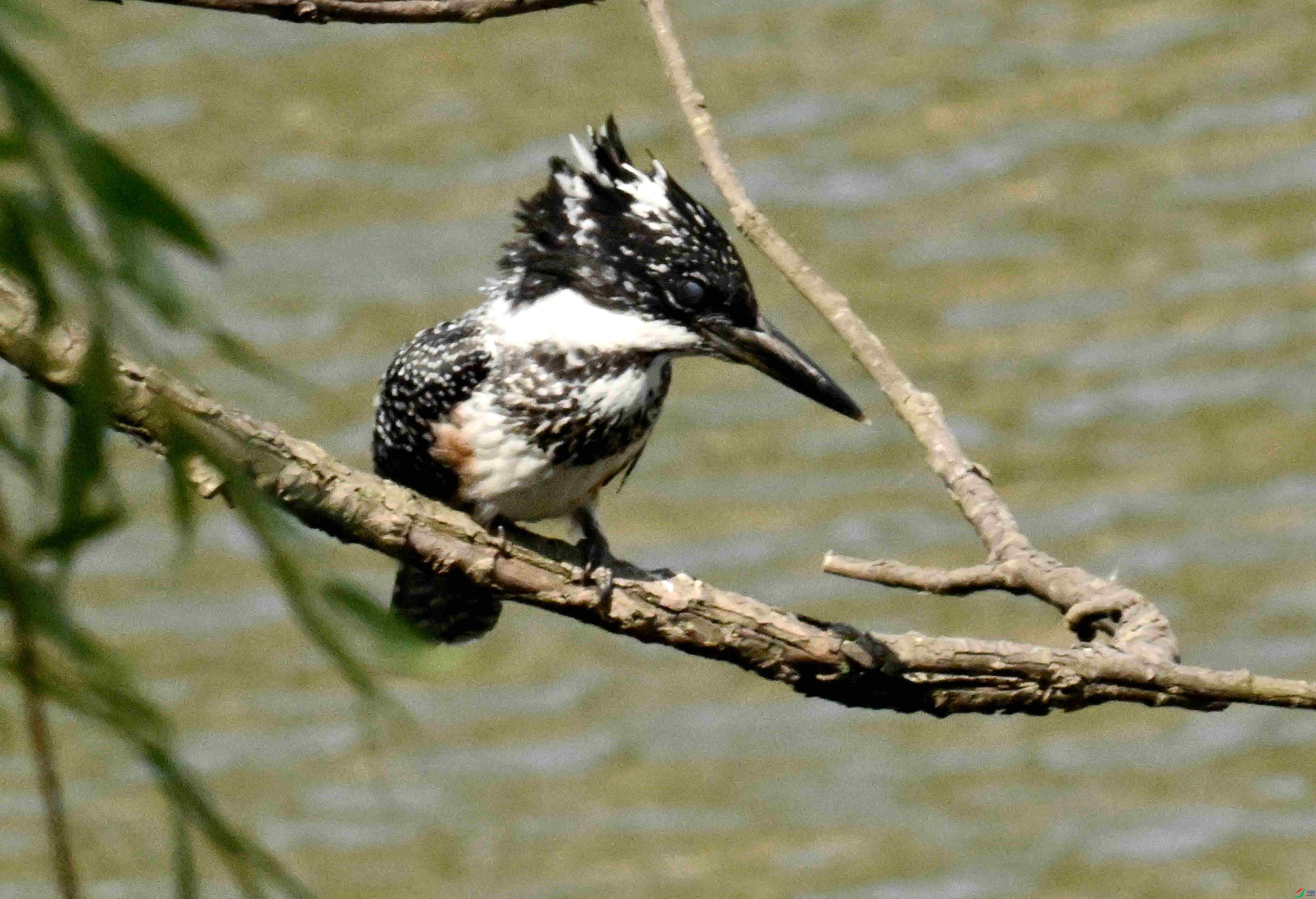 DSC_7589.JPG