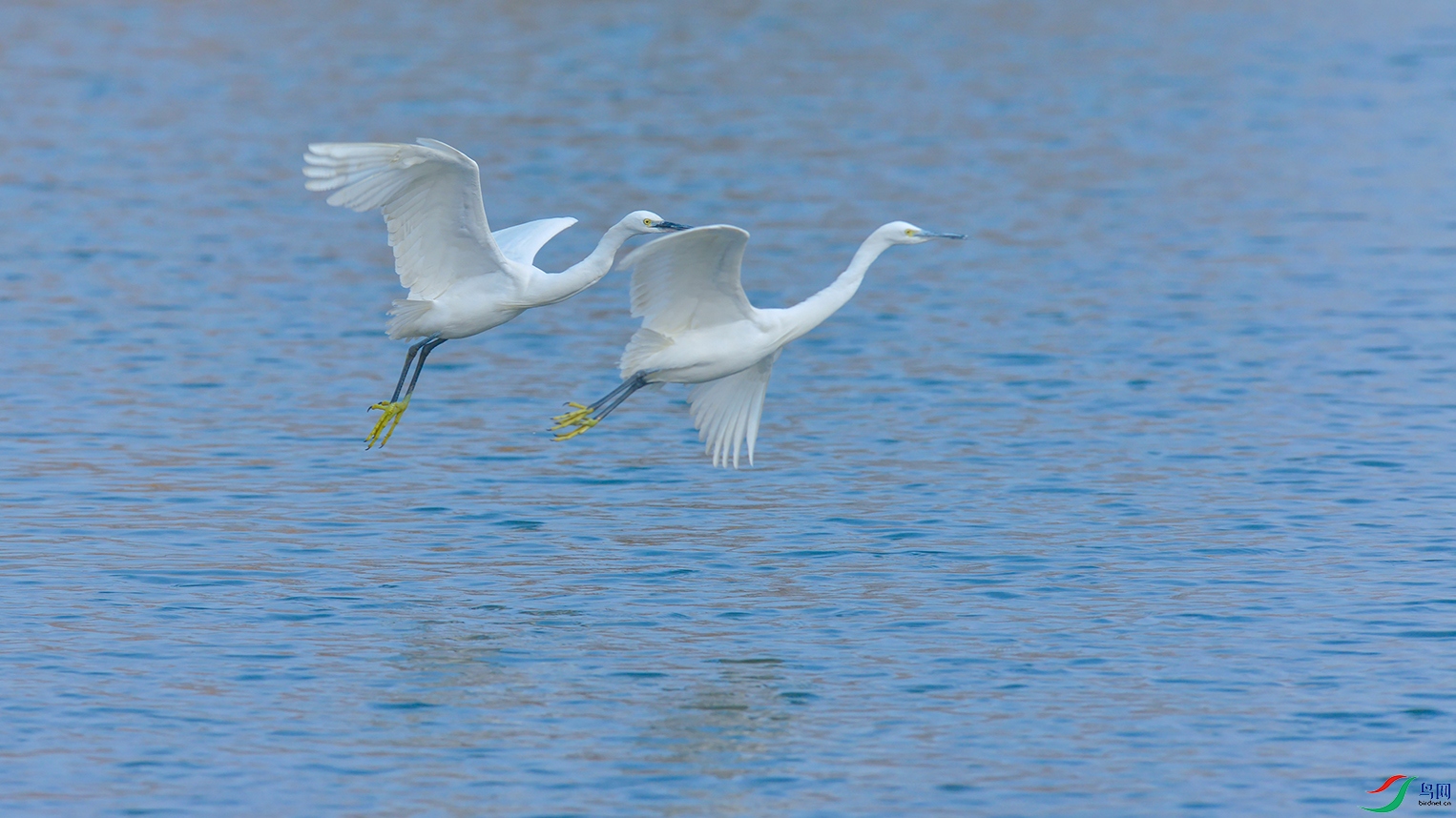 DSC_7605_DxOa.jpg