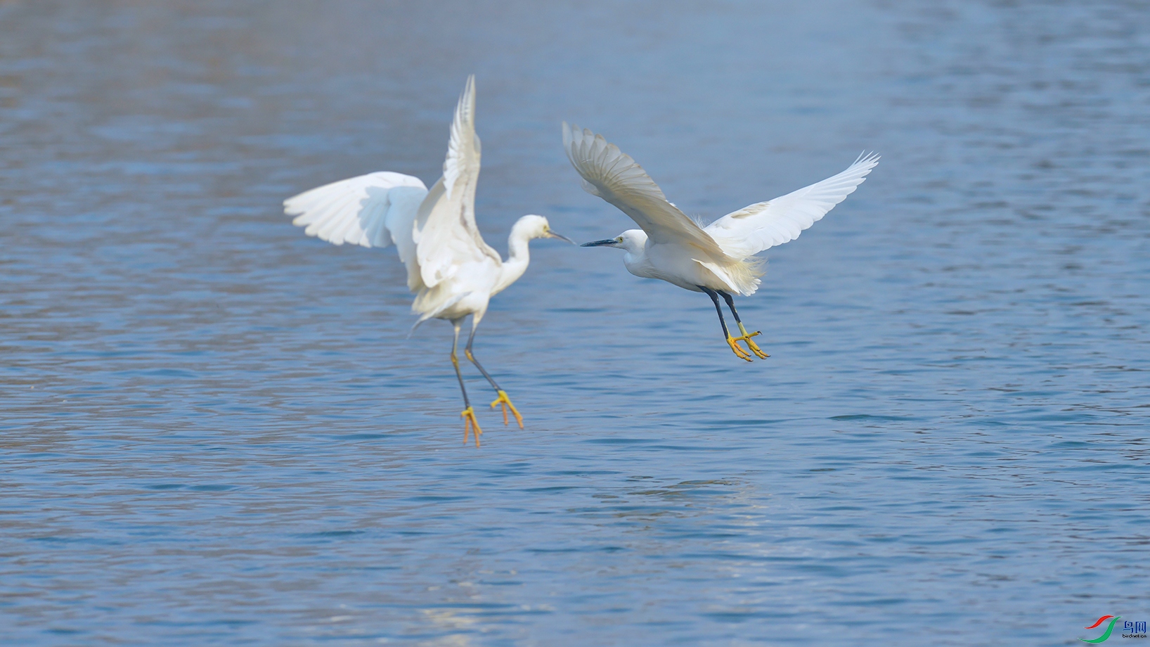 1DSC_7607_DxOa.jpg