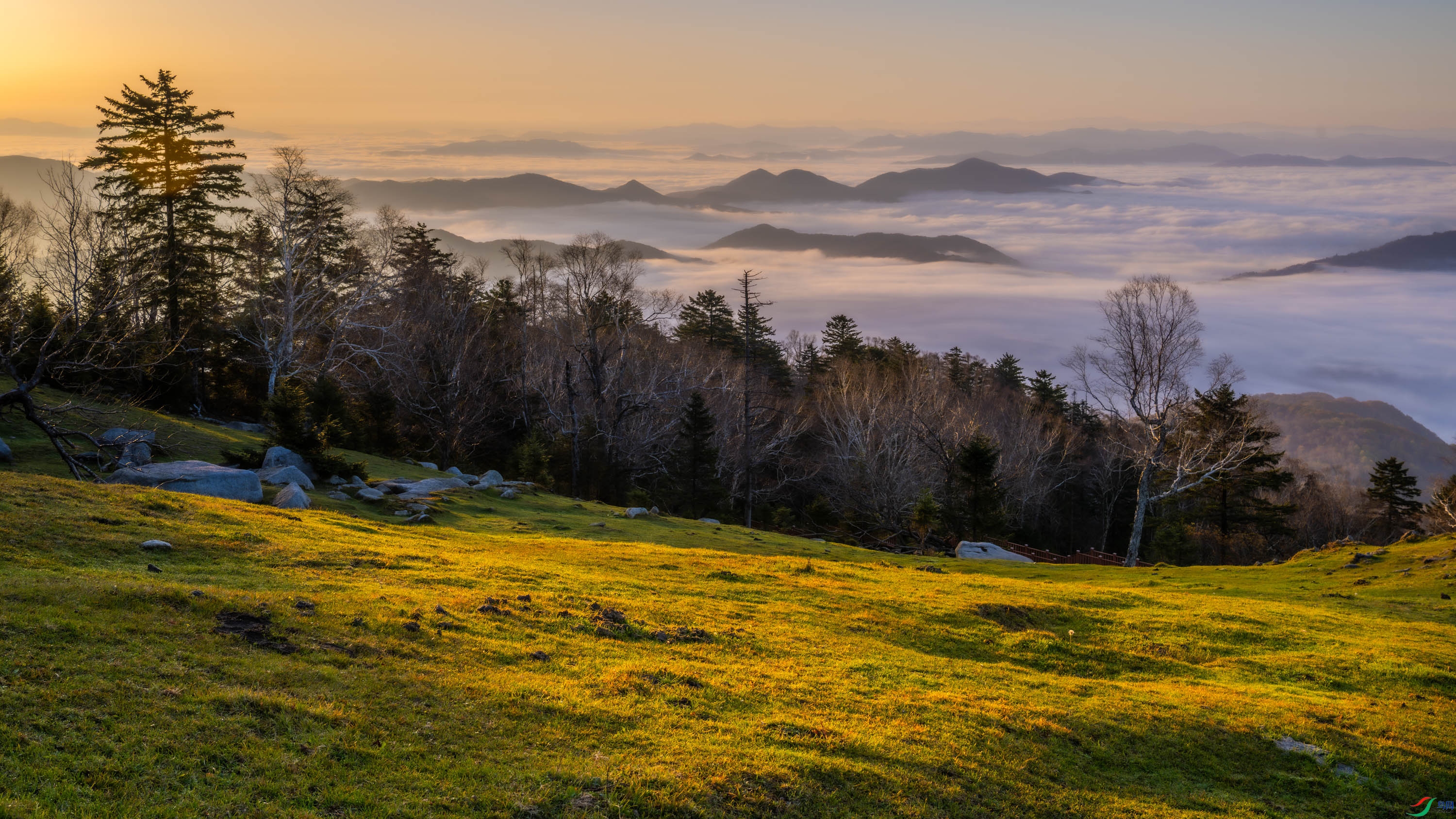 ��ͺ����