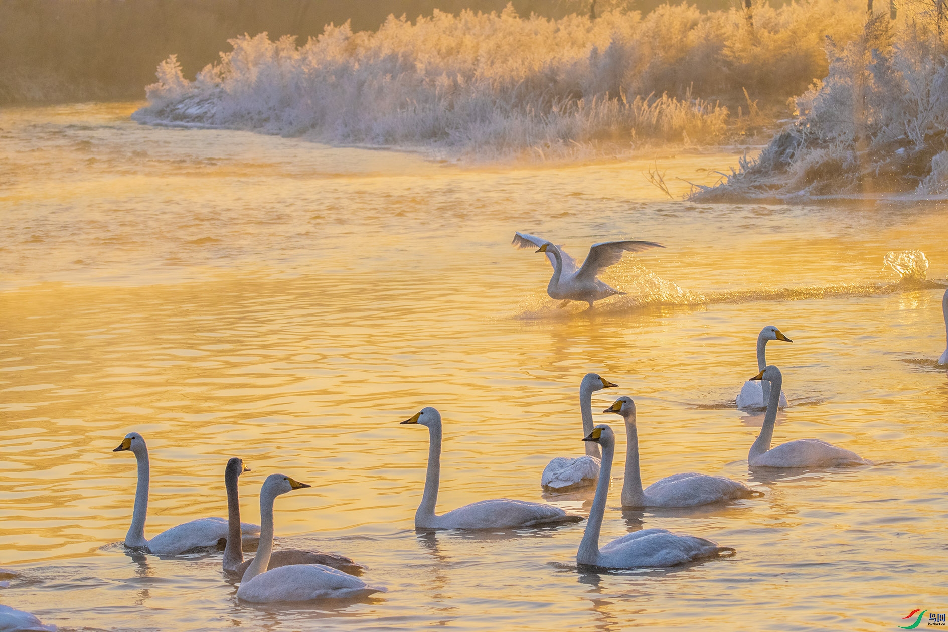 DSC_8864_��ͼ�� ����.jpg