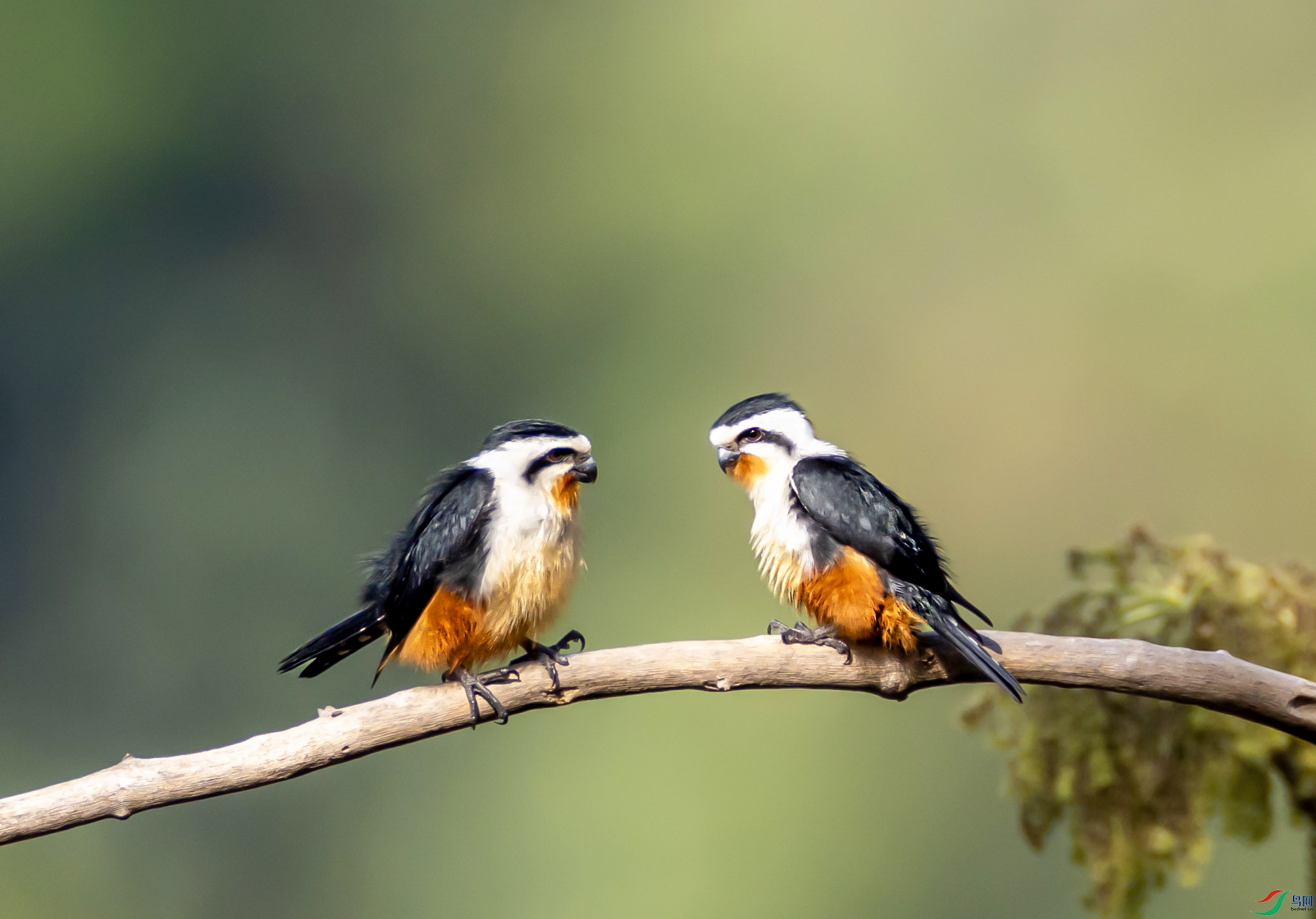 1-4L2A8377 ���� xt������������.jpg