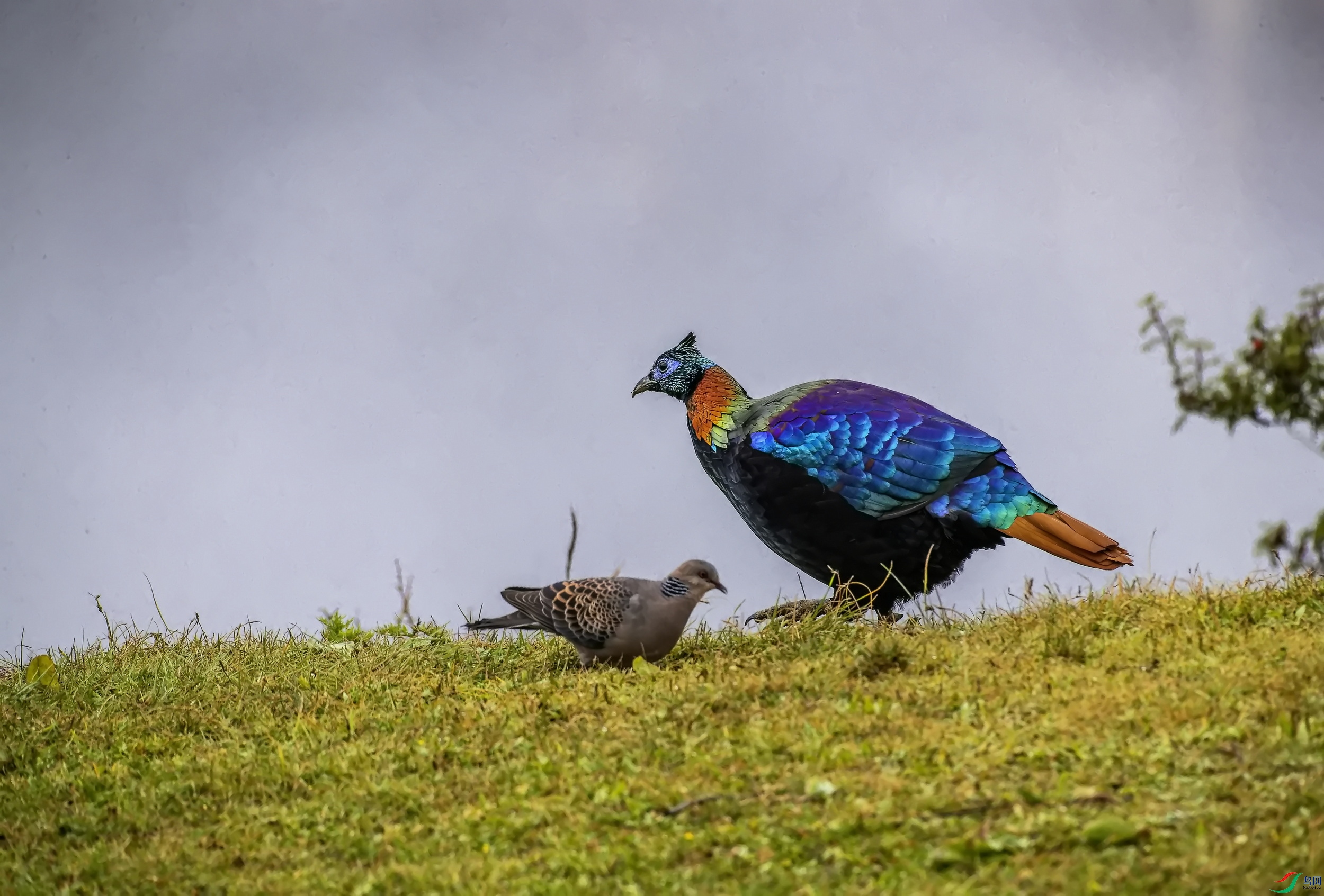 ��β���� (4)-01.jpg