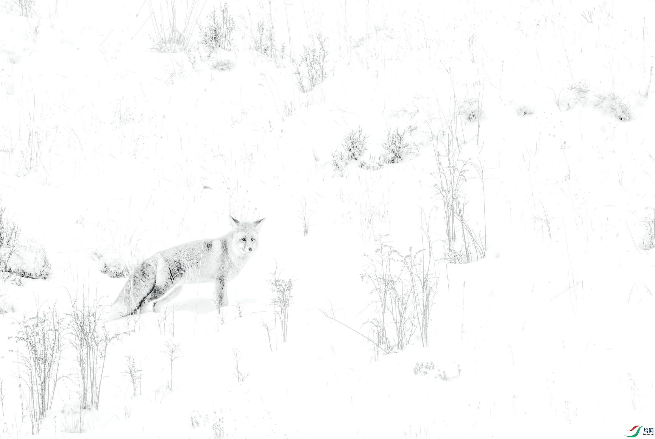 ��� (12)-01-01.jpg