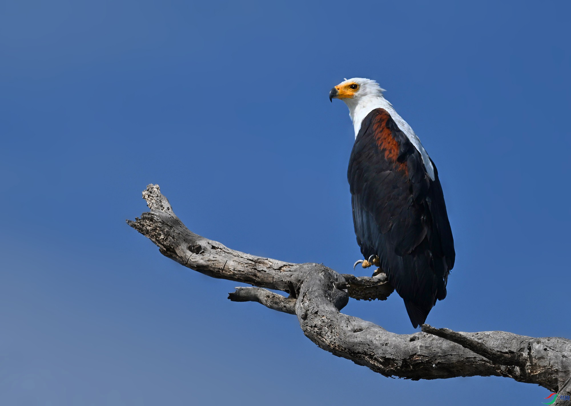 DSC_2625_.jpg