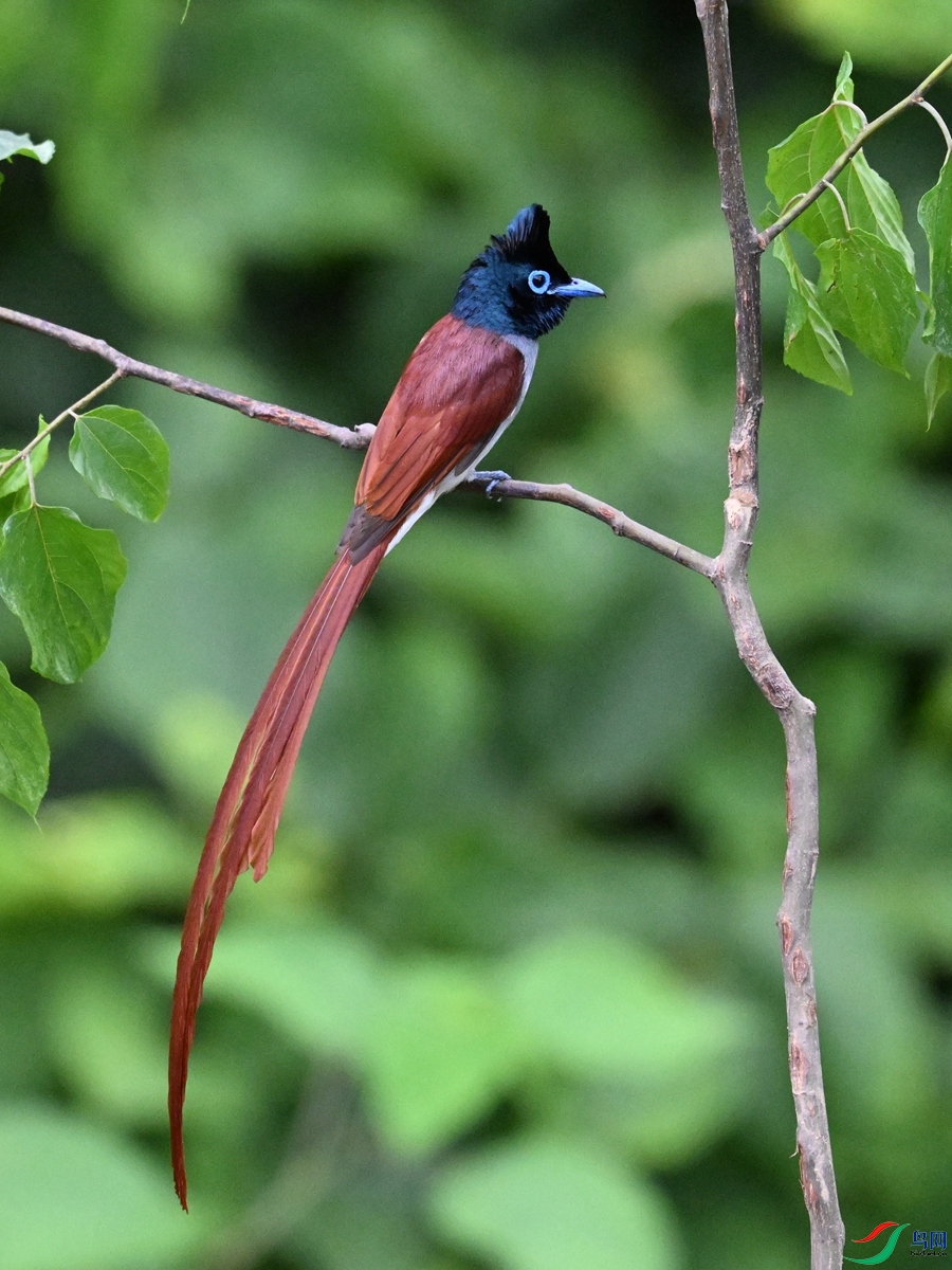 DSC_6950.JPG