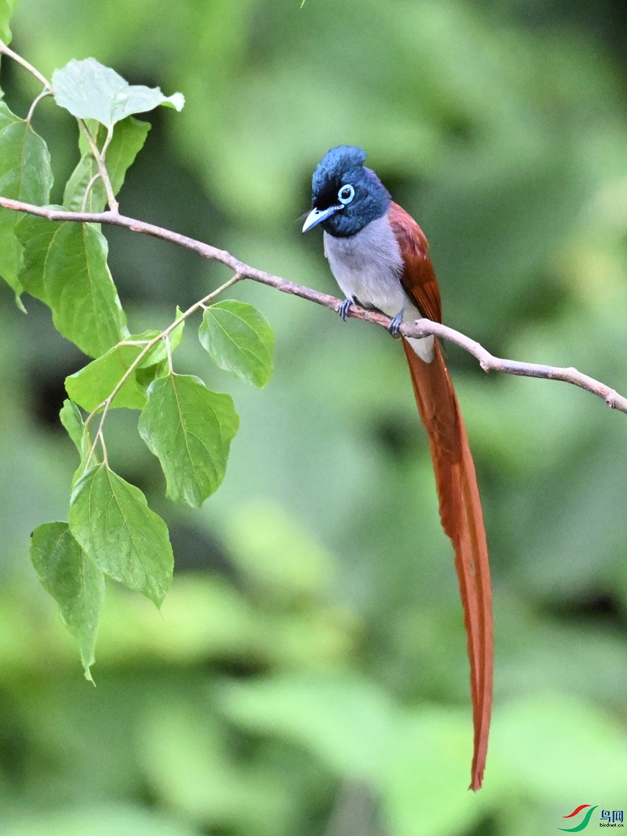 DSC_6945.JPG