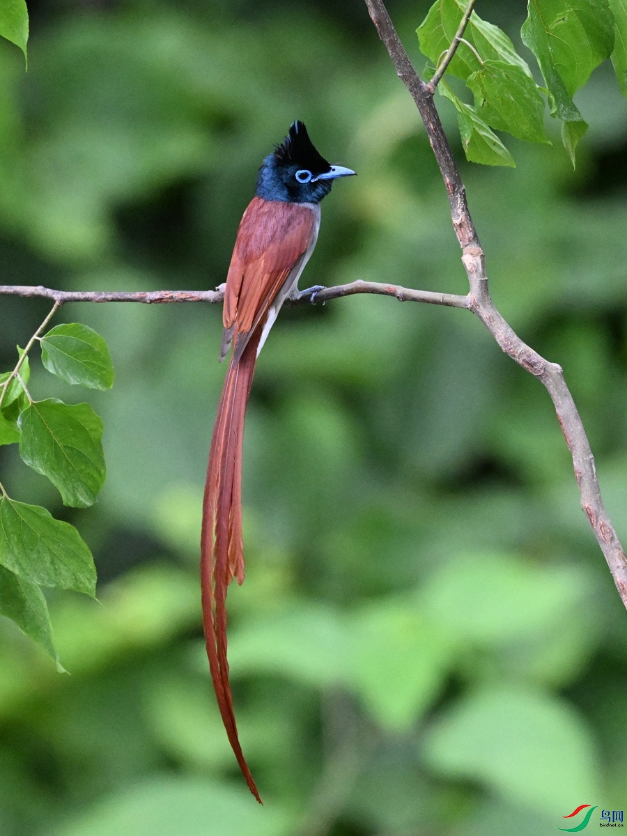 DSC_6952.JPG
