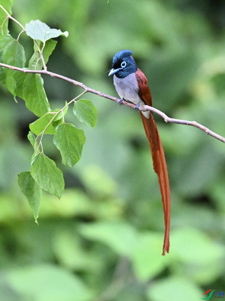 DSC_6942.JPG