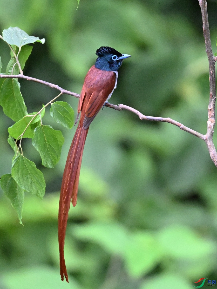 DSC_6980.JPG