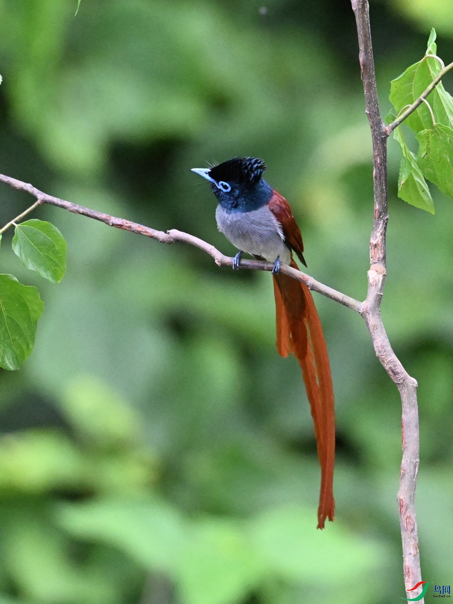 DSC_6963.JPG