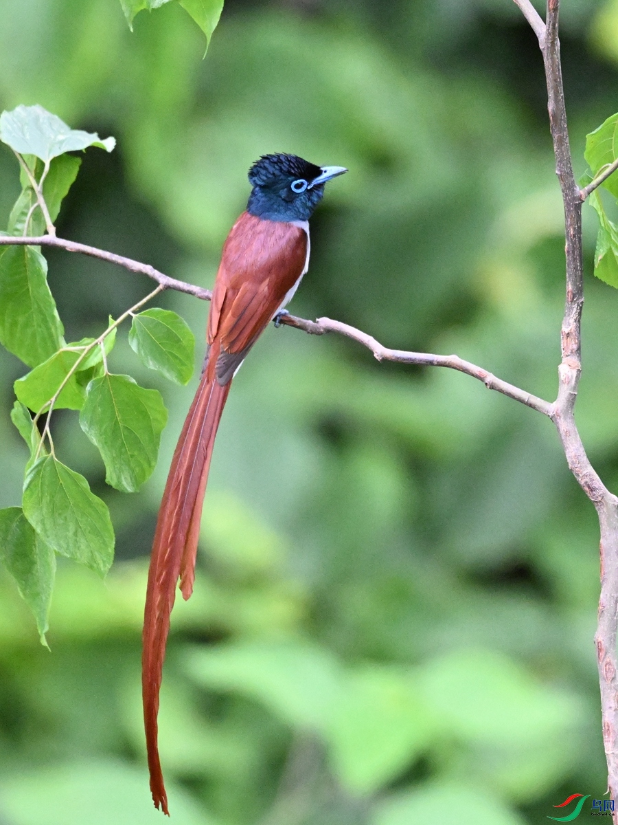 DSC_6979.JPG