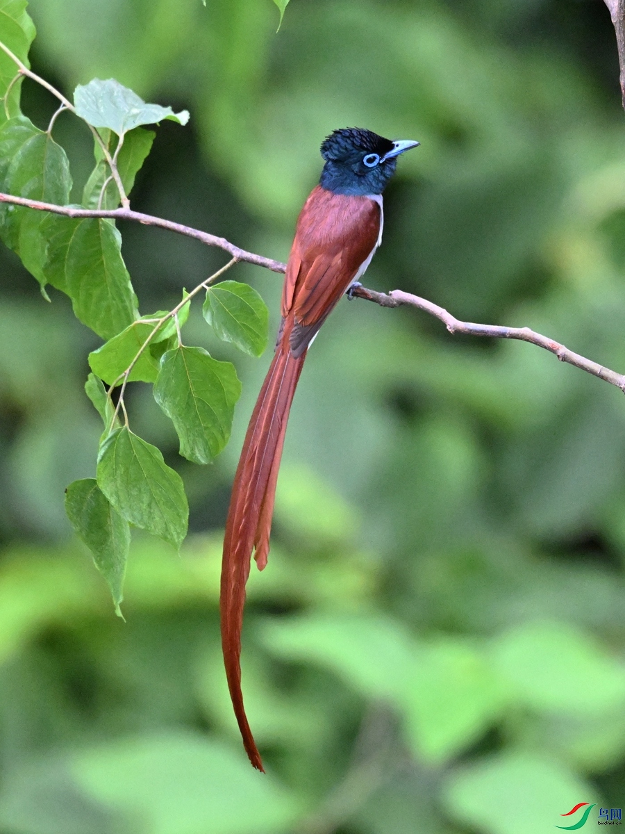 DSC_6978.JPG