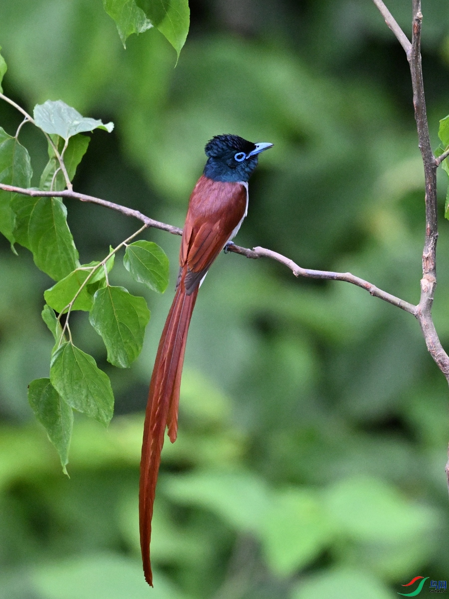 DSC_6977.JPG