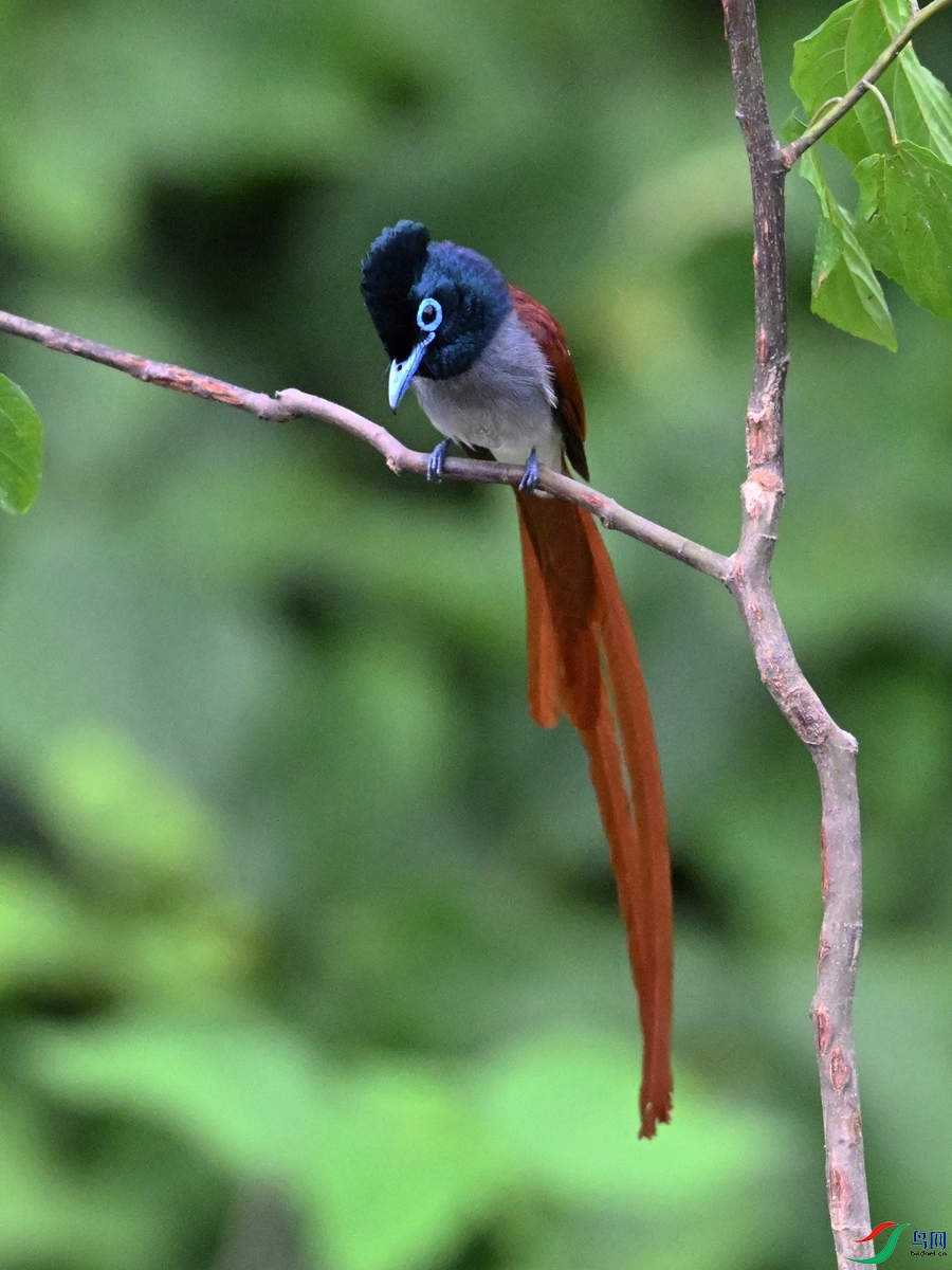 DSC_6966.JPG