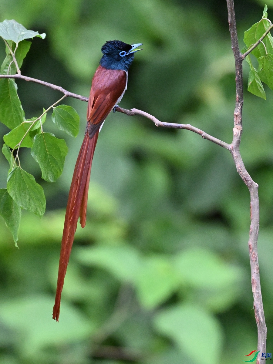 DSC_6976.JPG