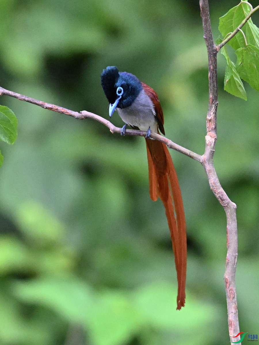 DSC_6967.JPG