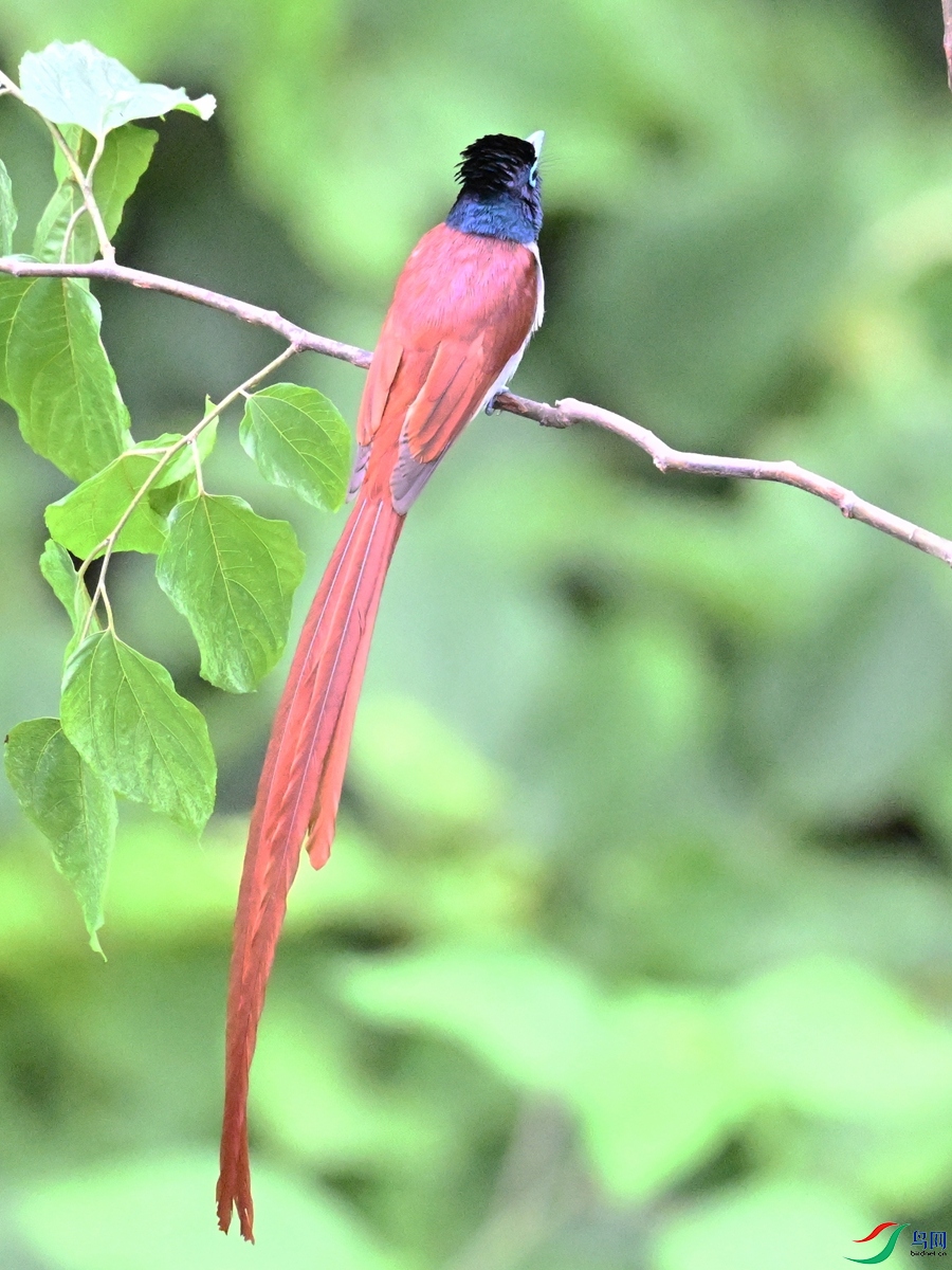 DSC_6975.JPG