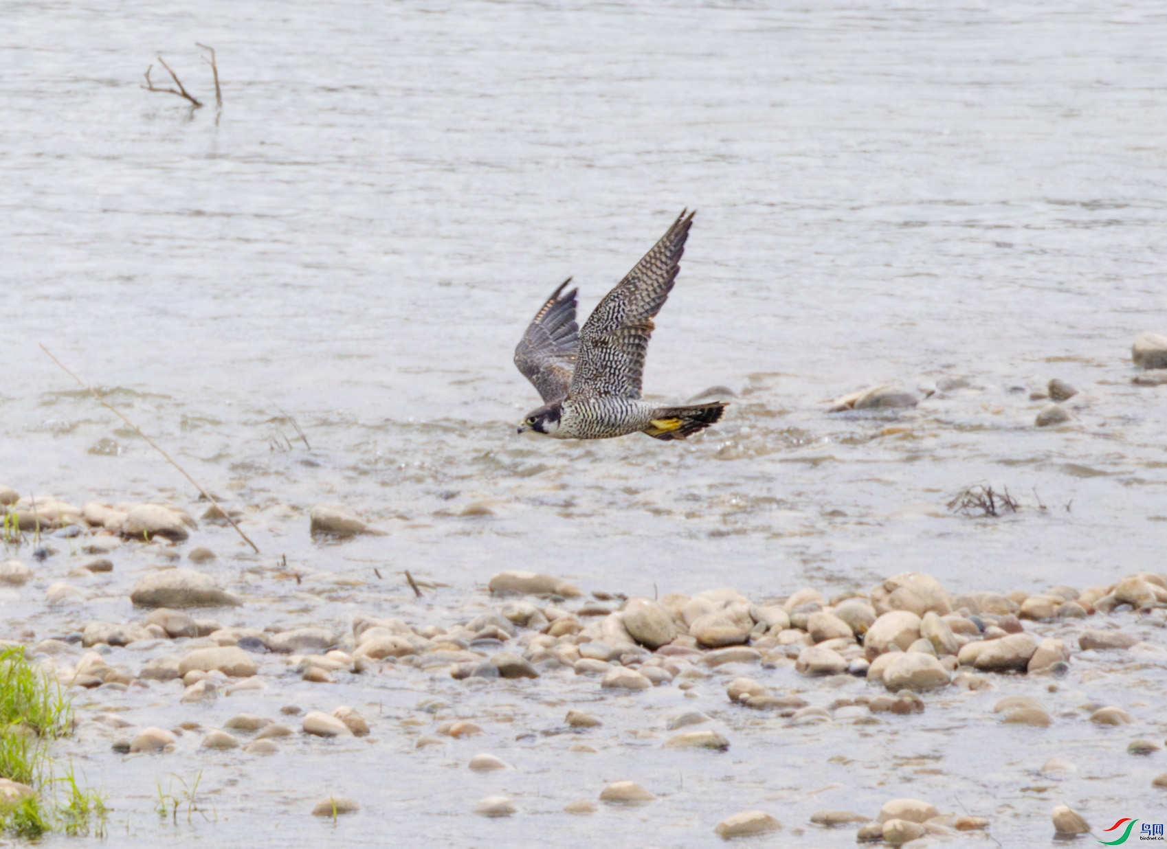 G47A5998-����ǿ-NR ����.jpg