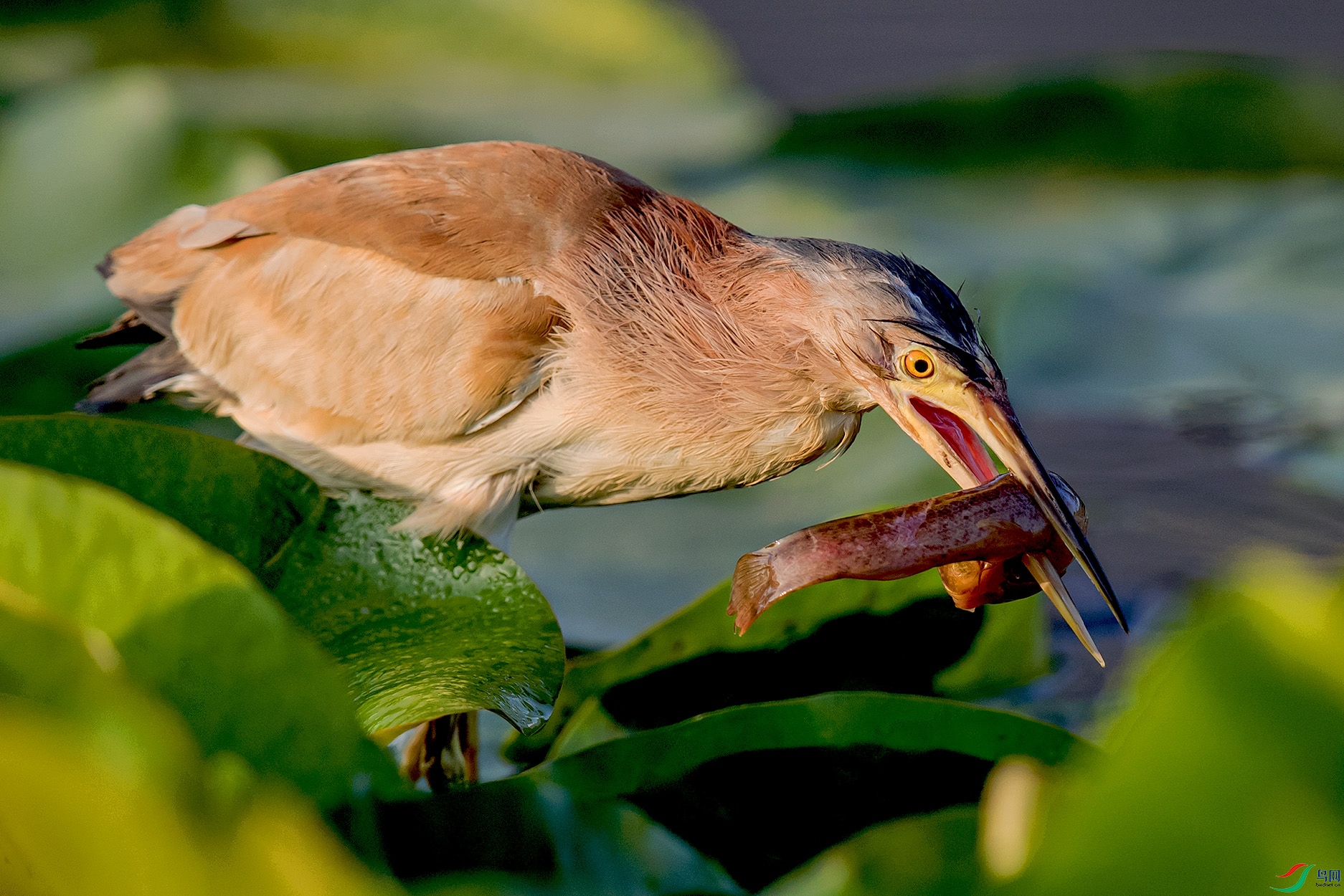 _90I0425 ����.jpg