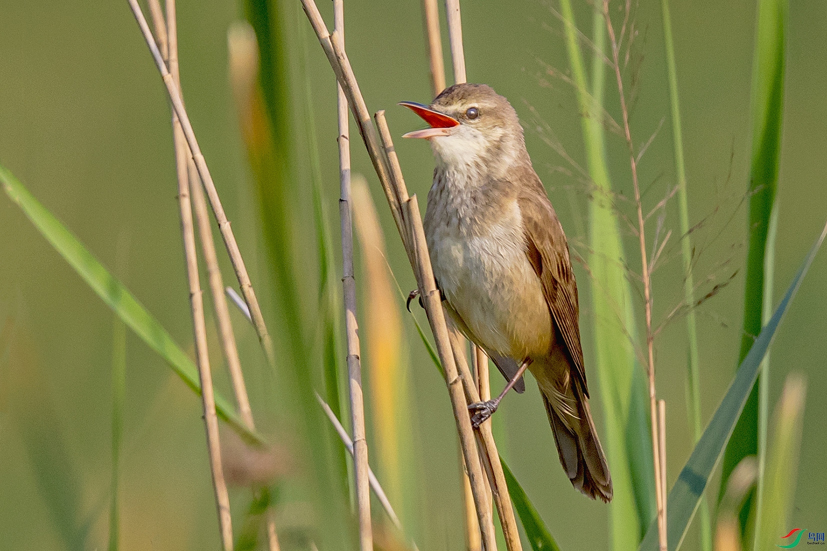 _90I5908 ����.jpg