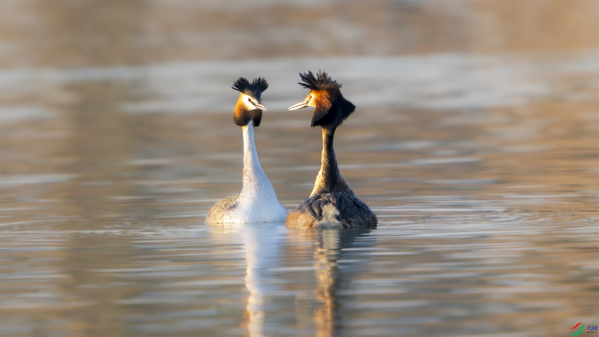 _DSC9480 ����.jpg