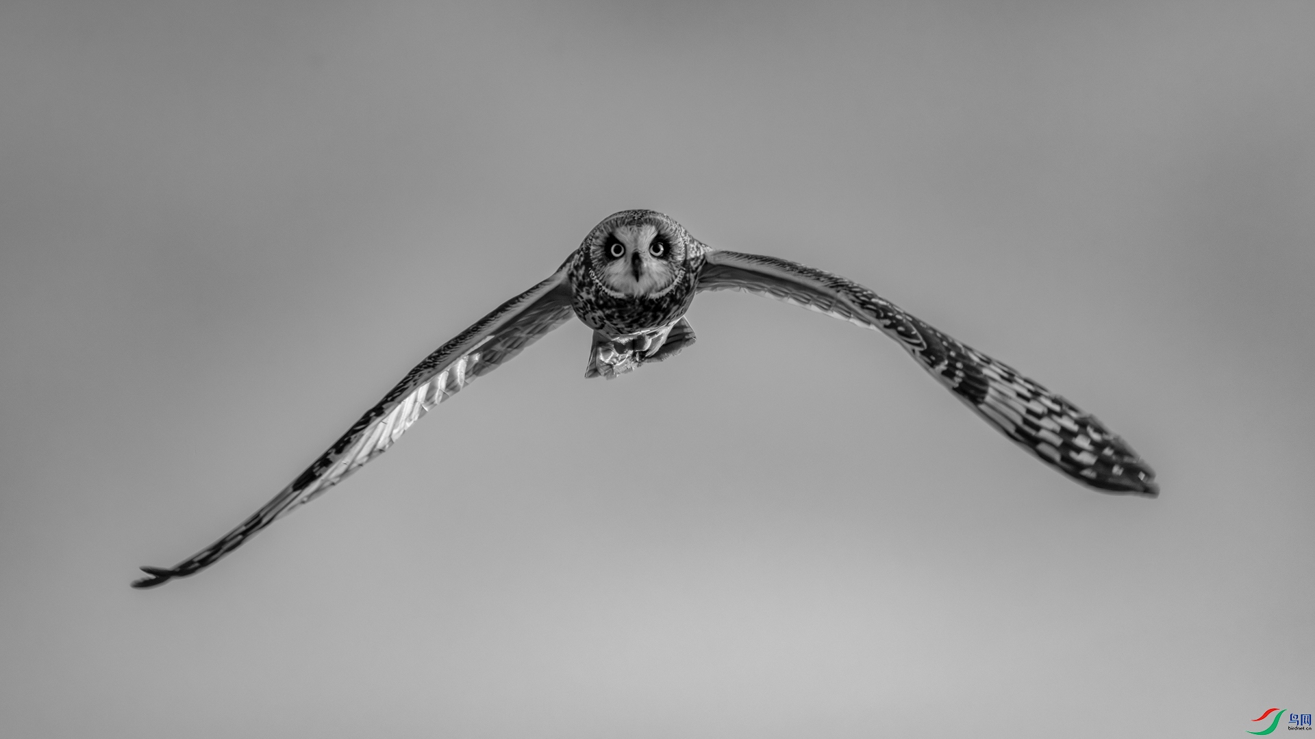 466A3859_2.jpg