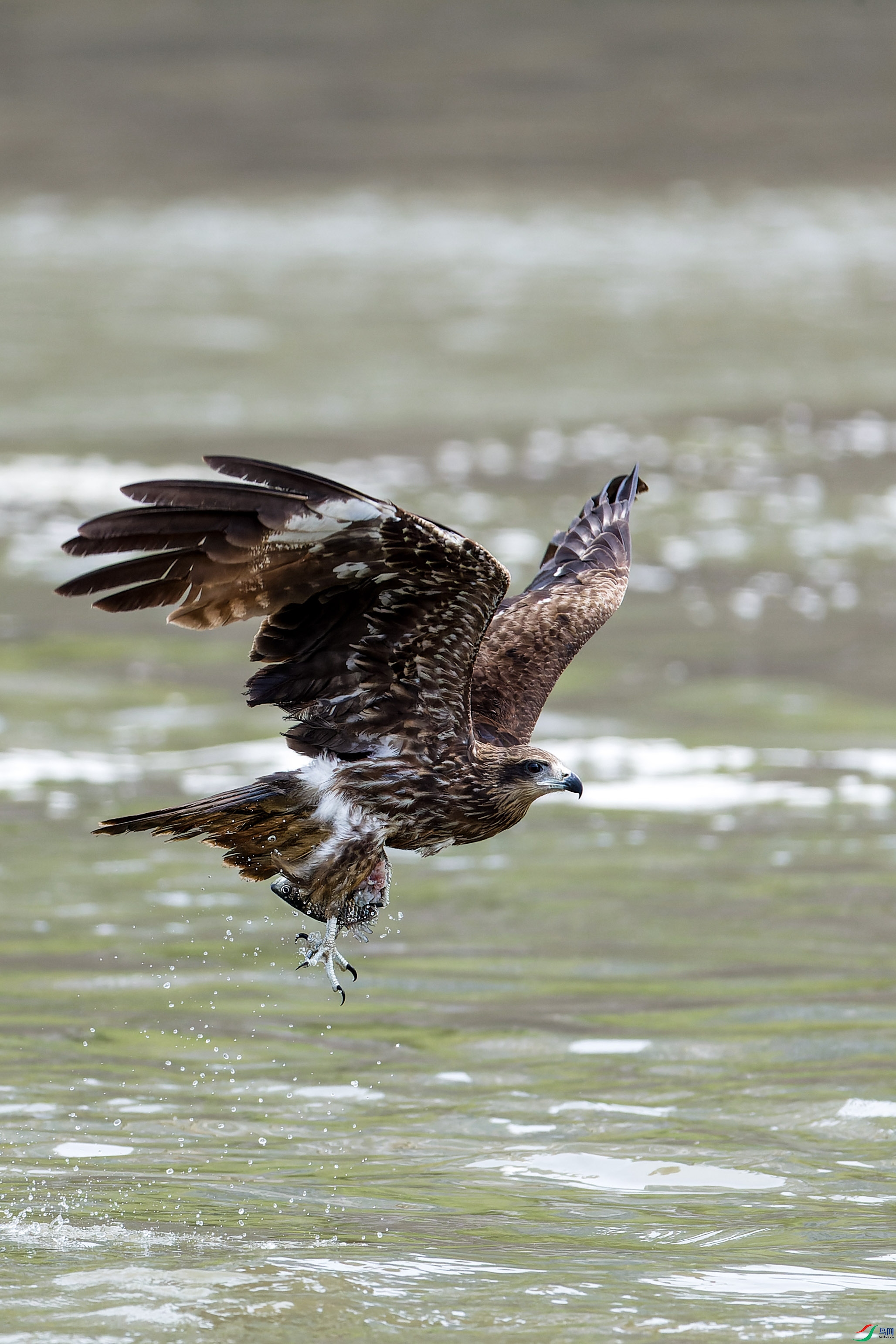 2X2_0522-CR2_DxO_DeepPRIME-1.jpg