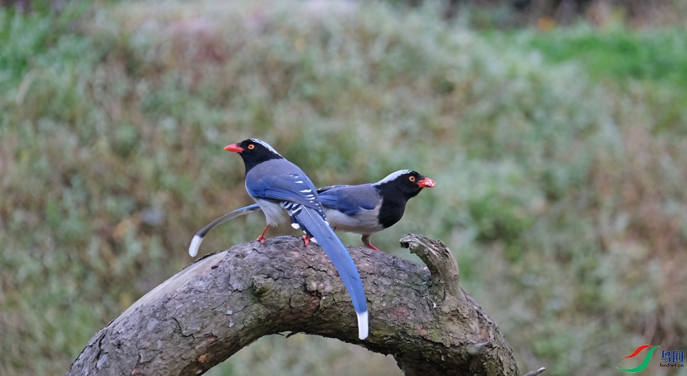 DSCF8372.1.jpg