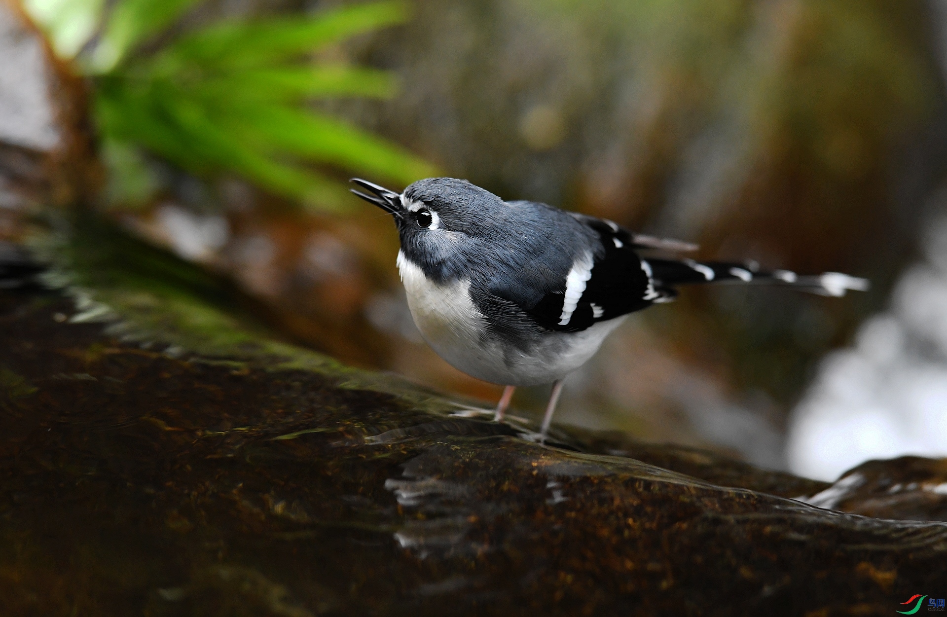 DSC_2844.jpg