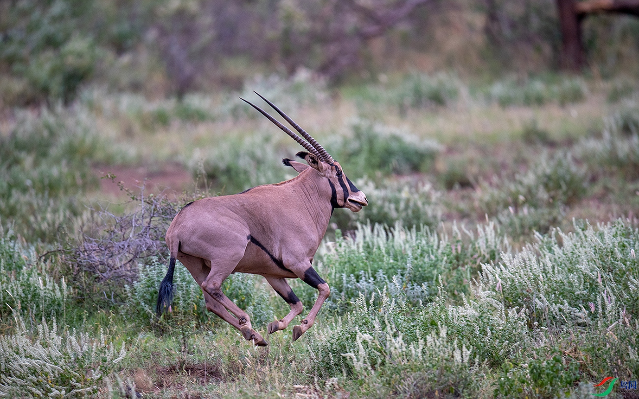 DSC_2860.jpg