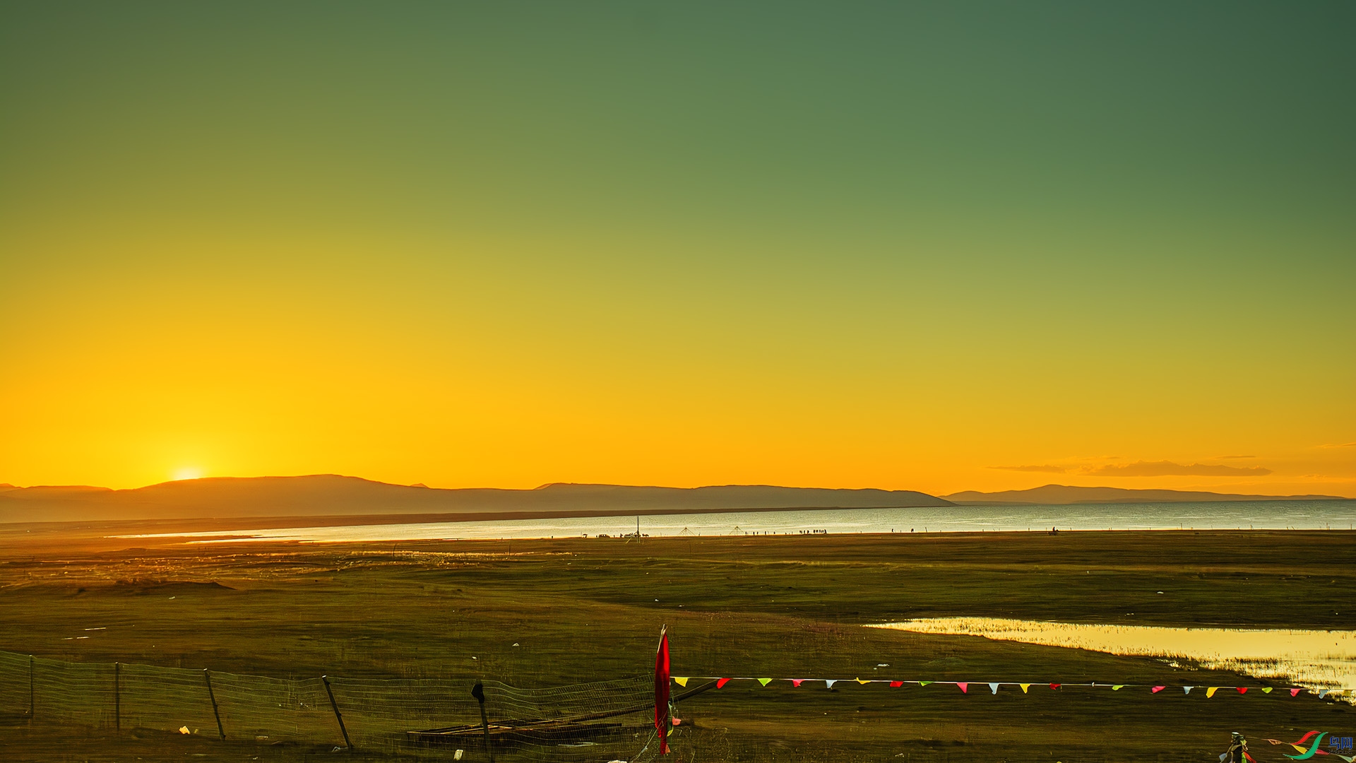 DSC_4094-����ǿ-NR ����.jpg