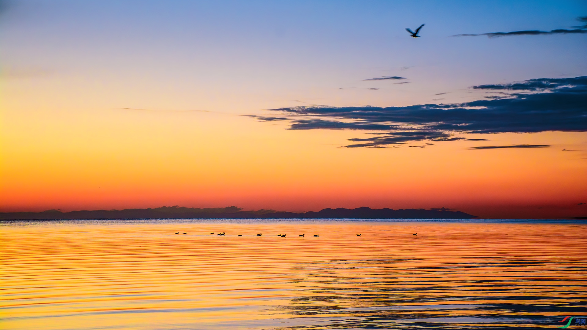 DSC_4145-����ǿ-NR ����.jpg