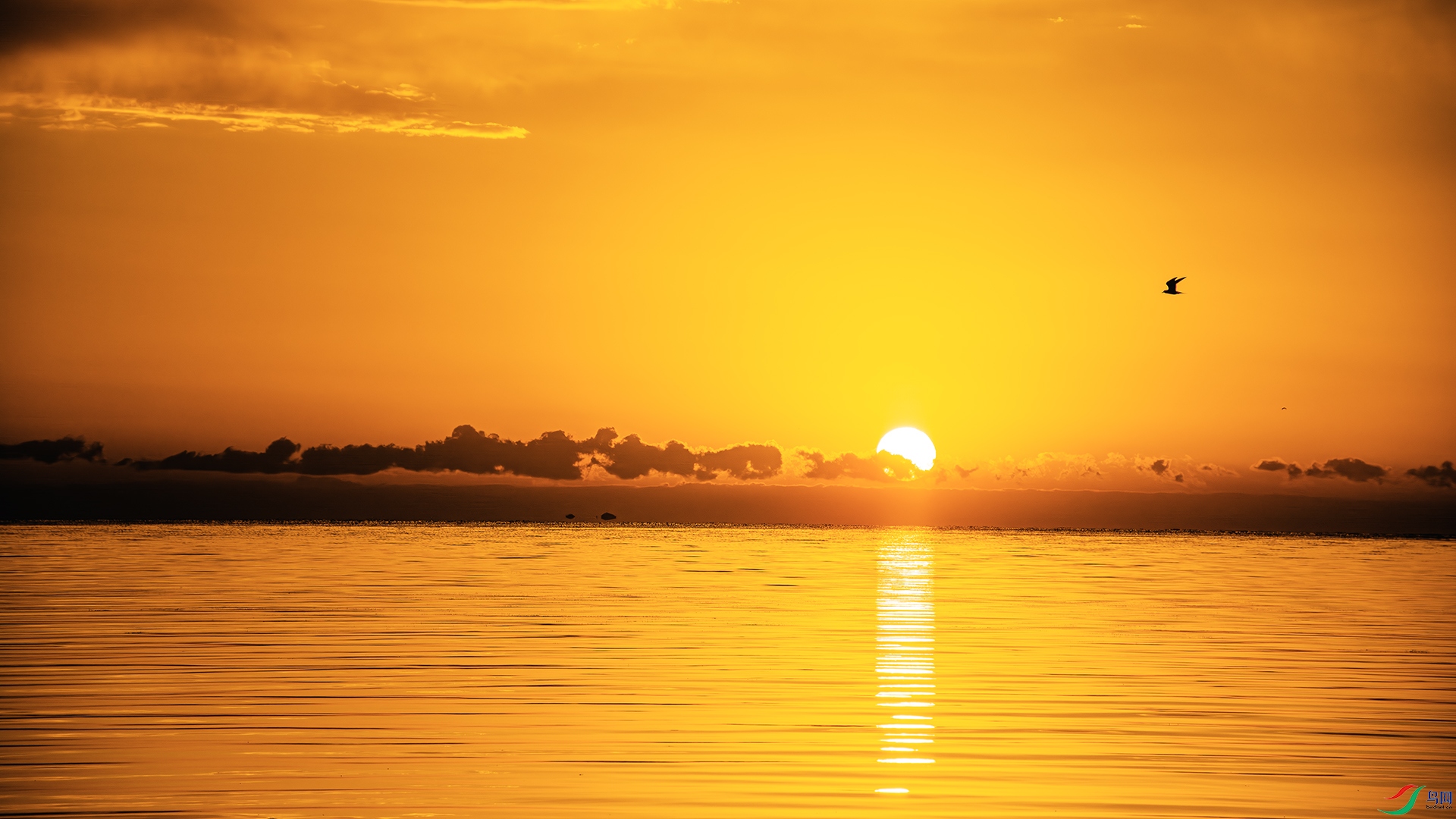 DSC_4226-����ǿ-NR ����.jpg