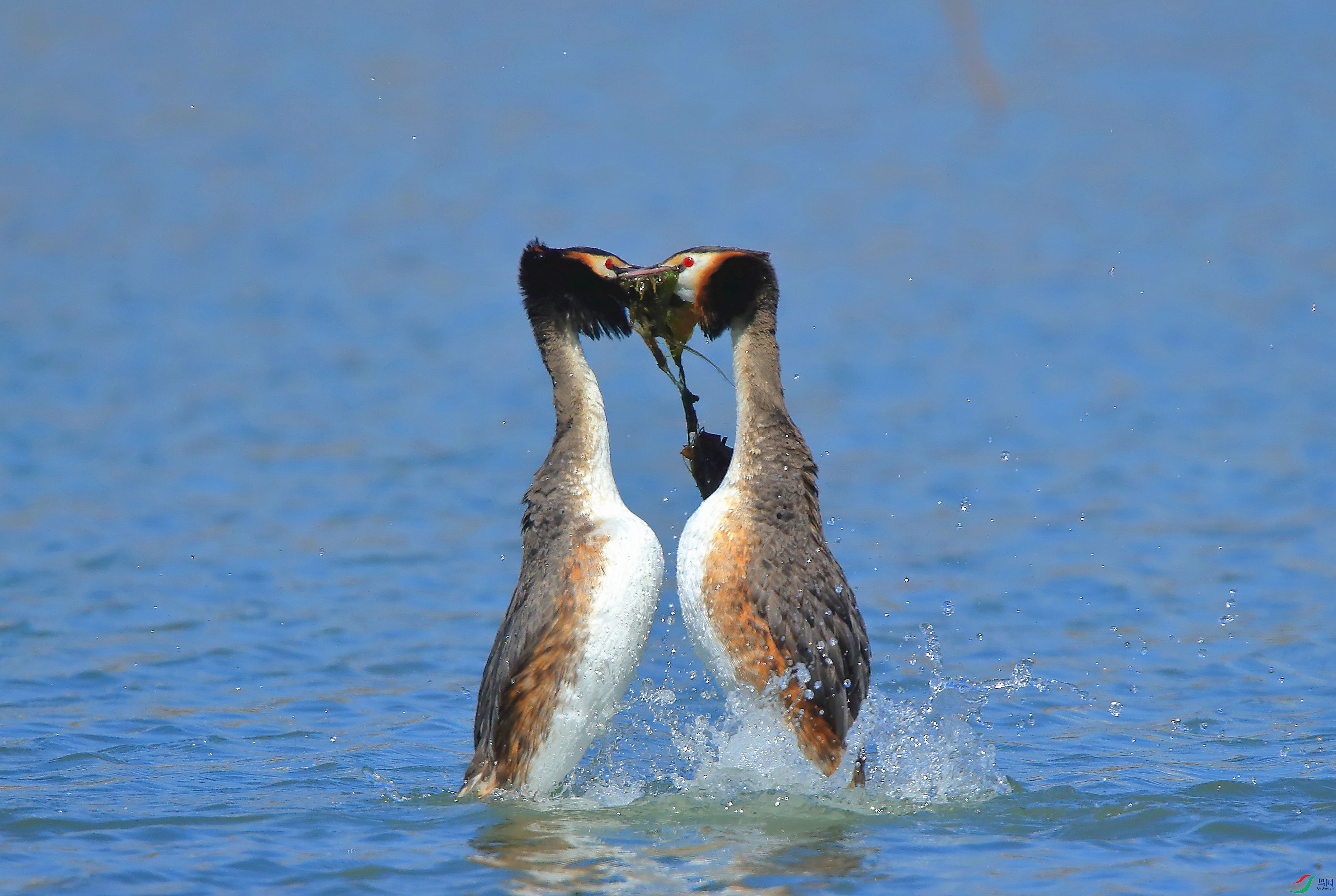 AM6Y0291 ����_����.jpg