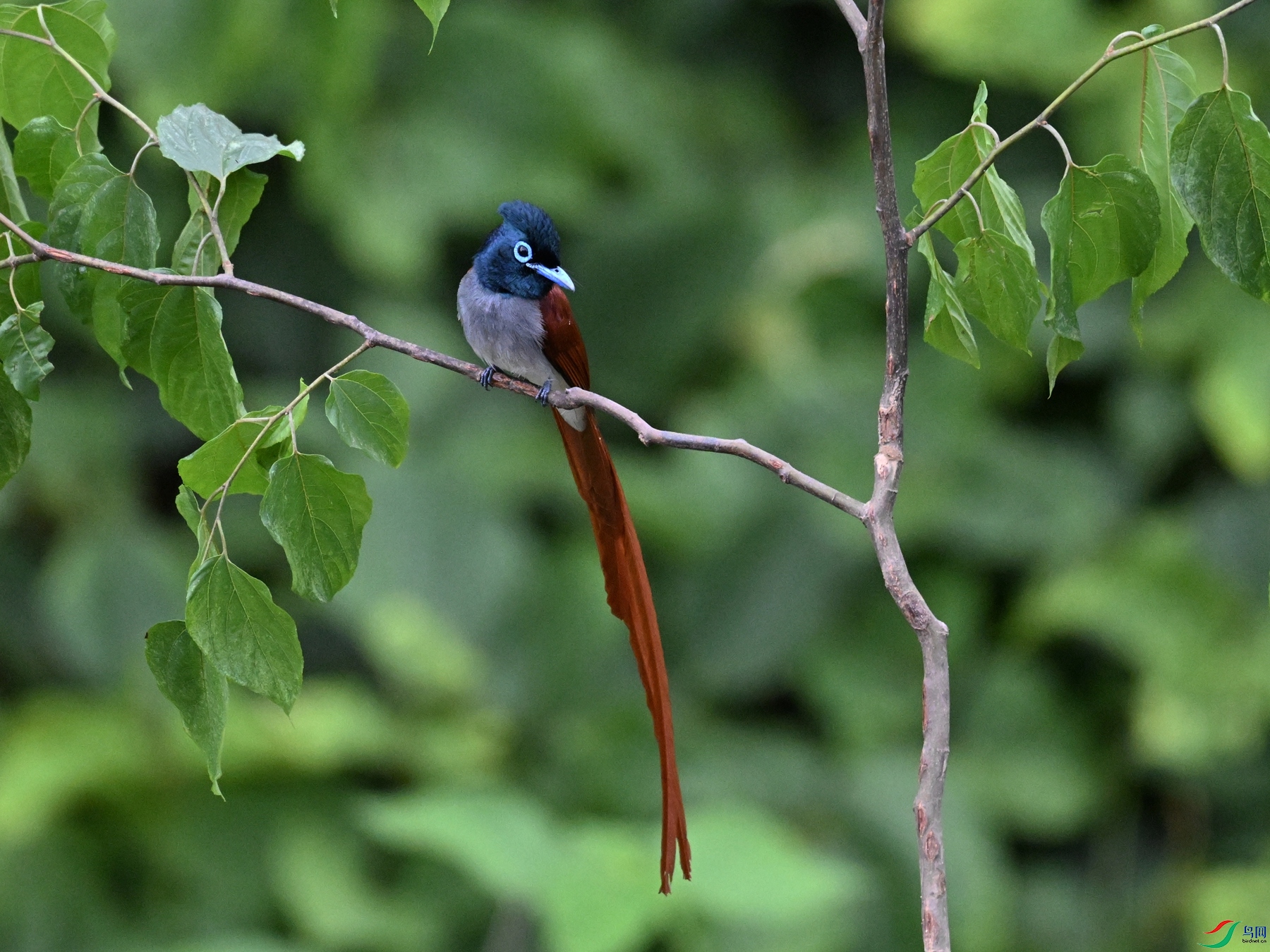 DSC_6926.JPG