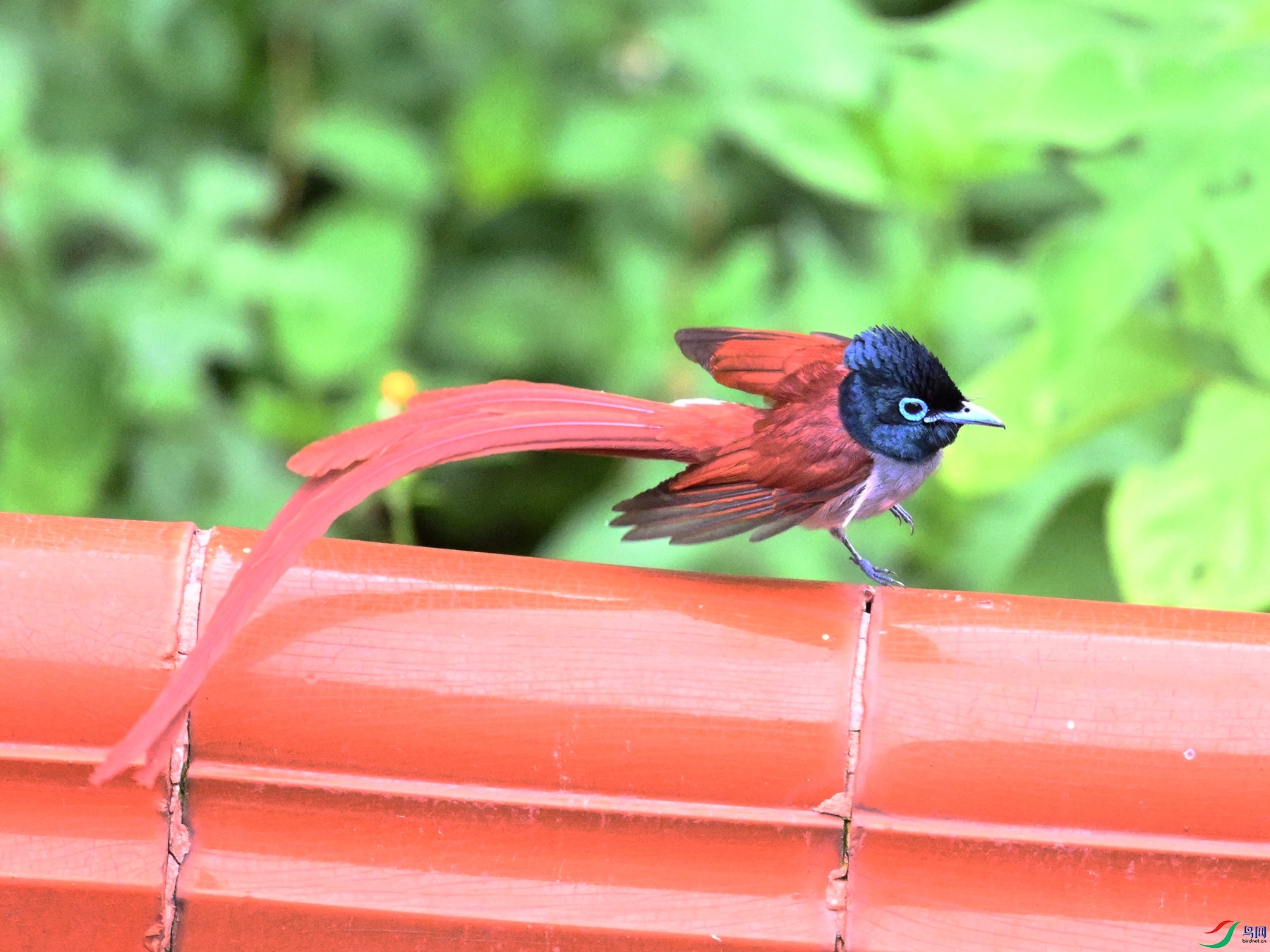 DSC_7074.JPG